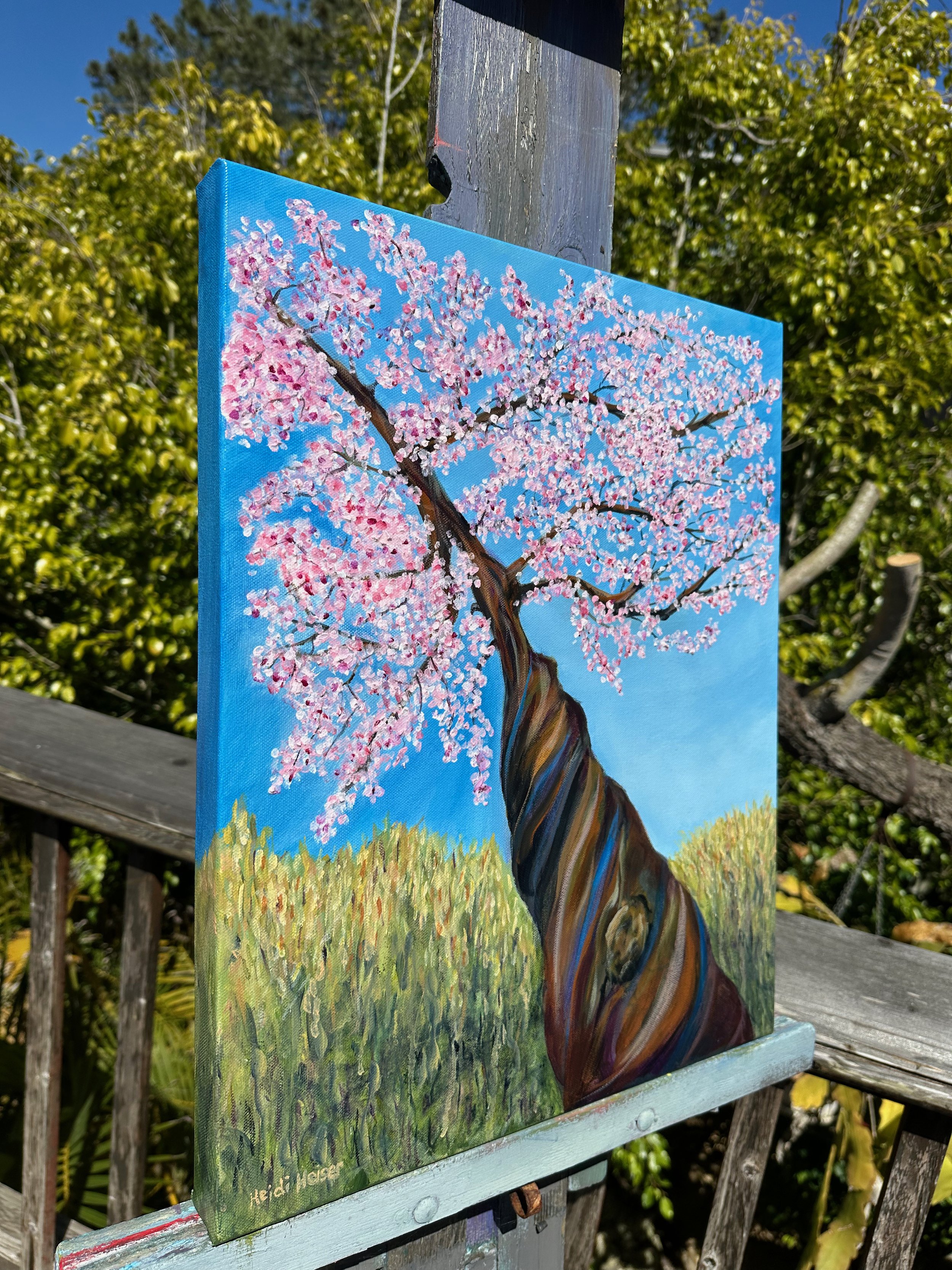 Cherry Blossoms Galore 16X20 - 16.jpeg
