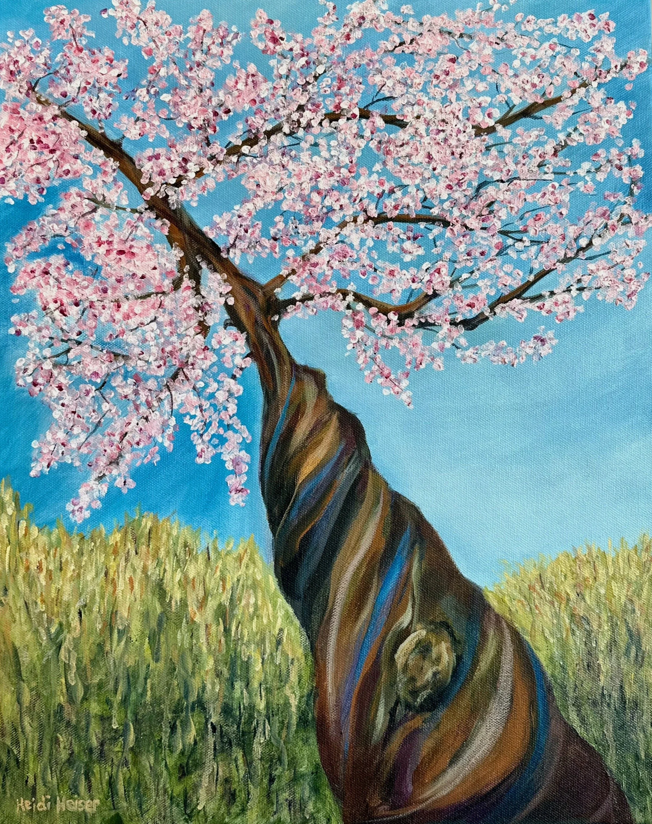 Cherry Blossoms Galore 16X20 300.jpeg