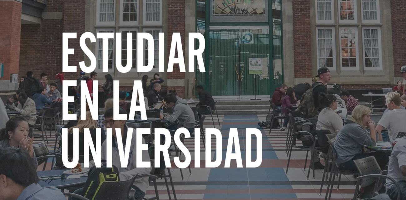 cuadradosxcx.jpg