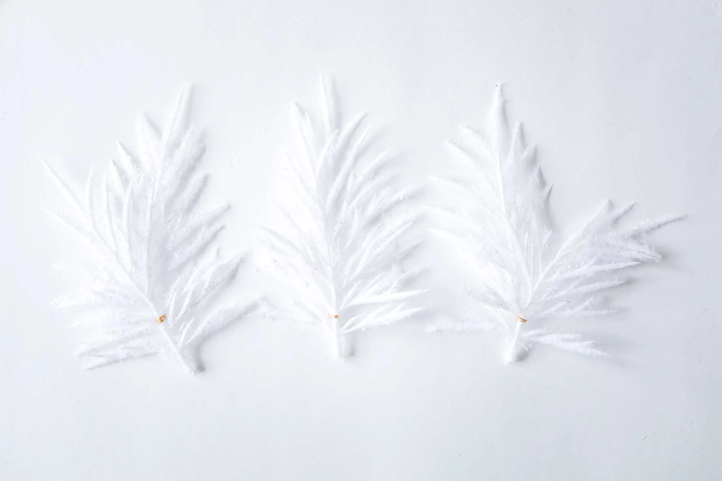 StudioBicyclette_ModernMinimalWreath-2.jpg