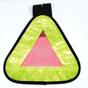Reflective Triangle.jpg