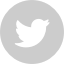 twitter icon.png