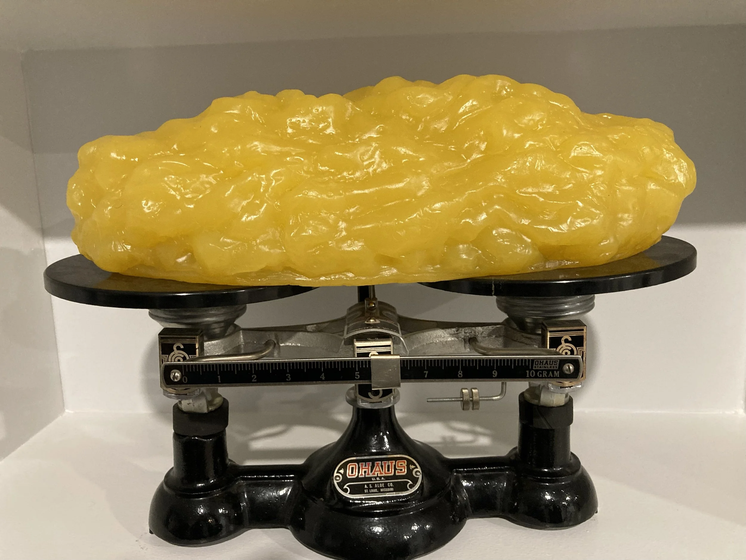 5lb fat on scale.jpeg