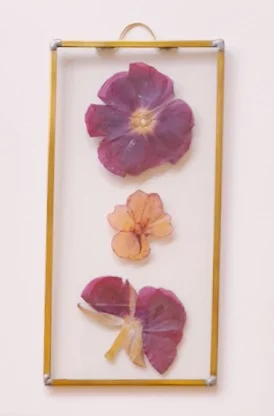 My Father's Garden I