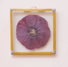 My Father's Garden II