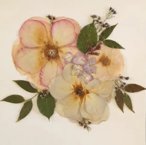 3A2DE05D-D295-49E6-9AB6-FC7543F6425C (1).JPG