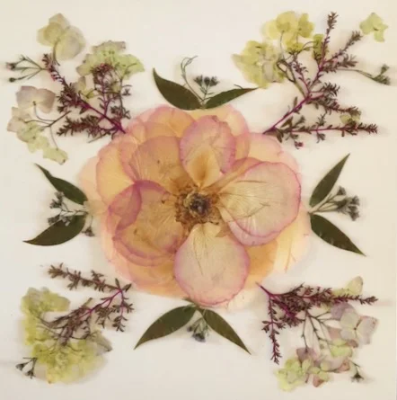 A3C48393-1975-435A-8D6F-6050E00C3DBB (1).JPG