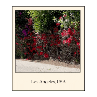 2-travel-gif-los-angeles.gif