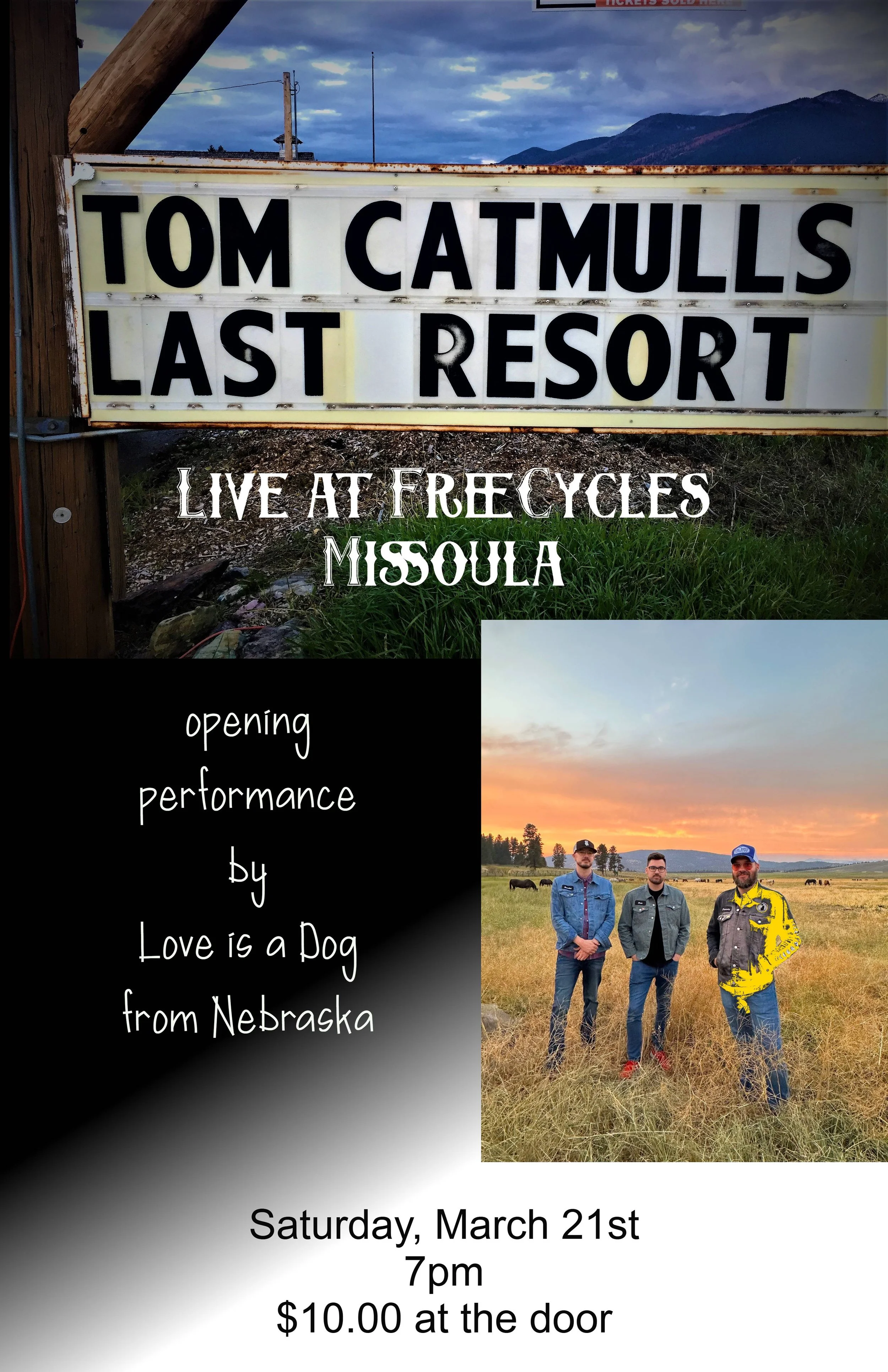 Tom Catmull and Love is a Dog