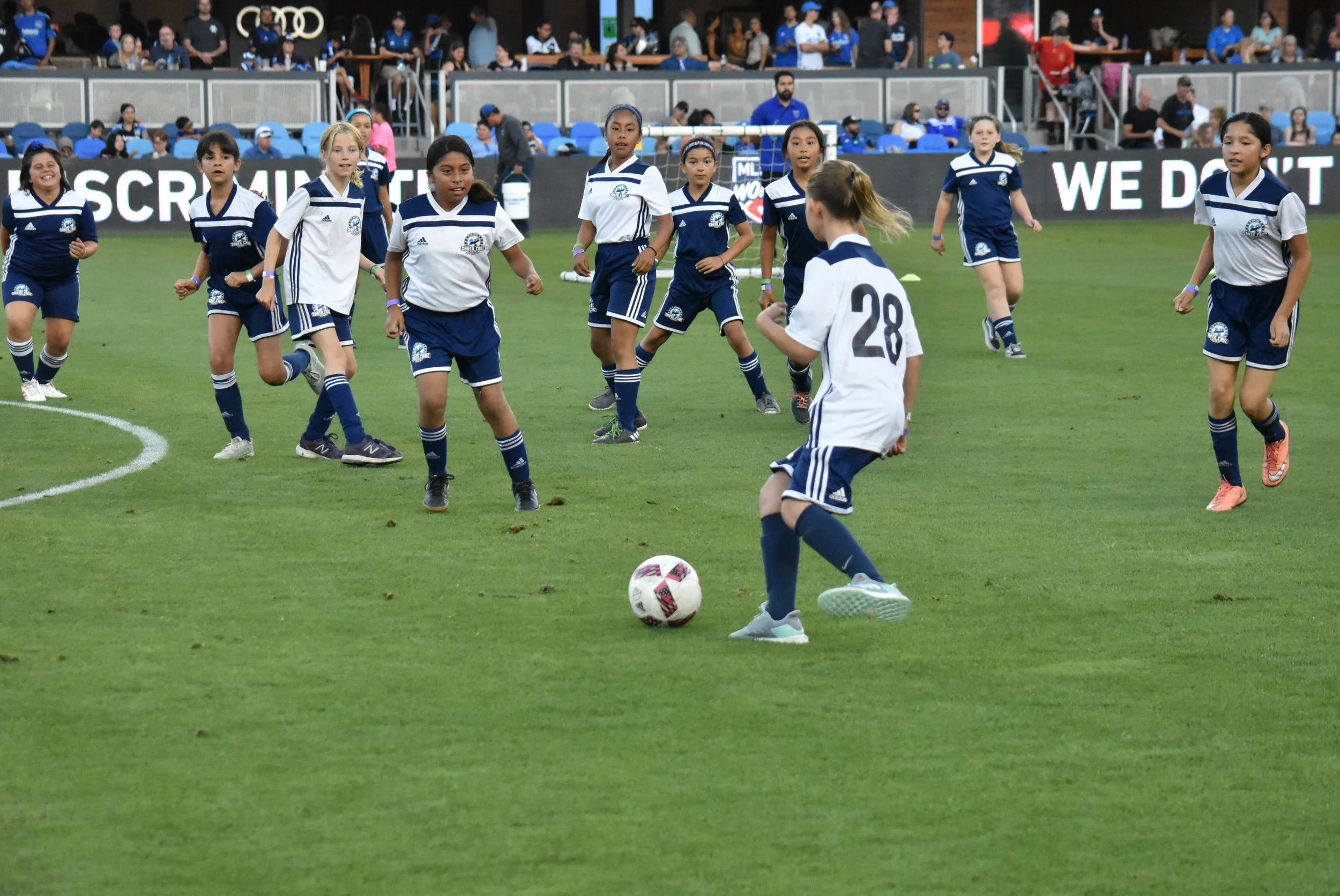 DSC_3535.JPG