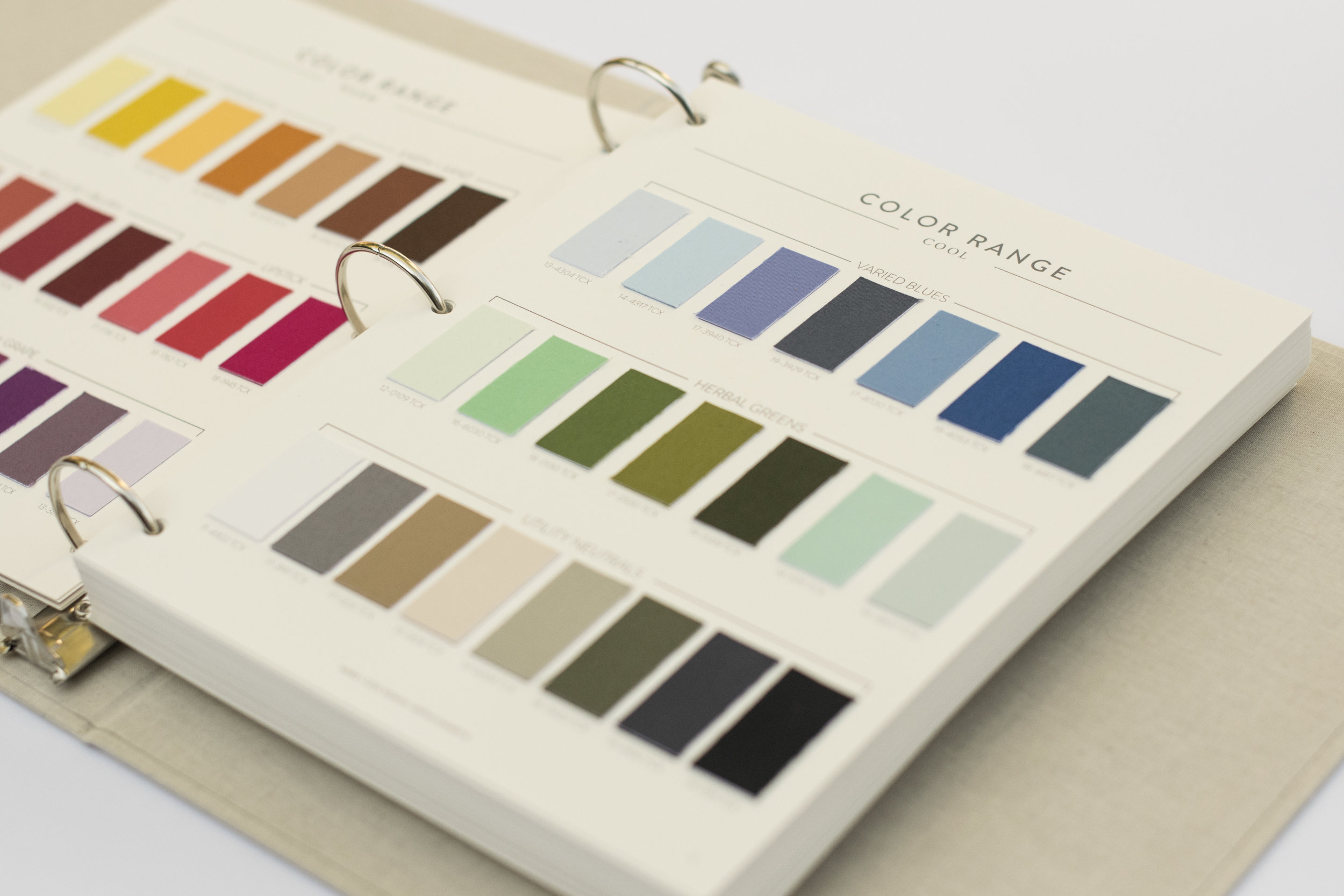 Full Color Forecast with Pantone® Swatches and Digital Color Files