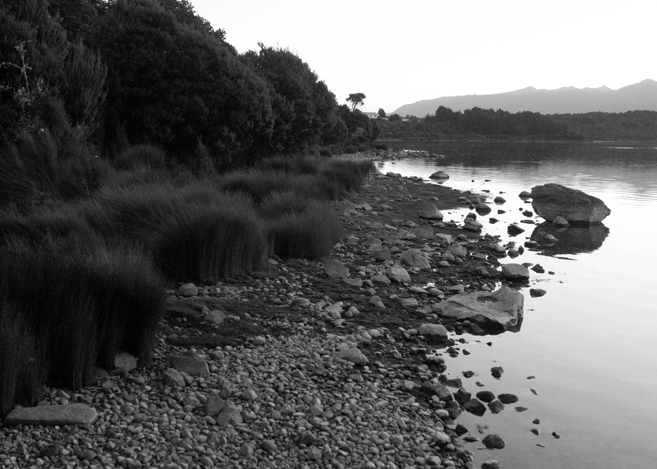 joey solomon new zealand 2017 .jpg