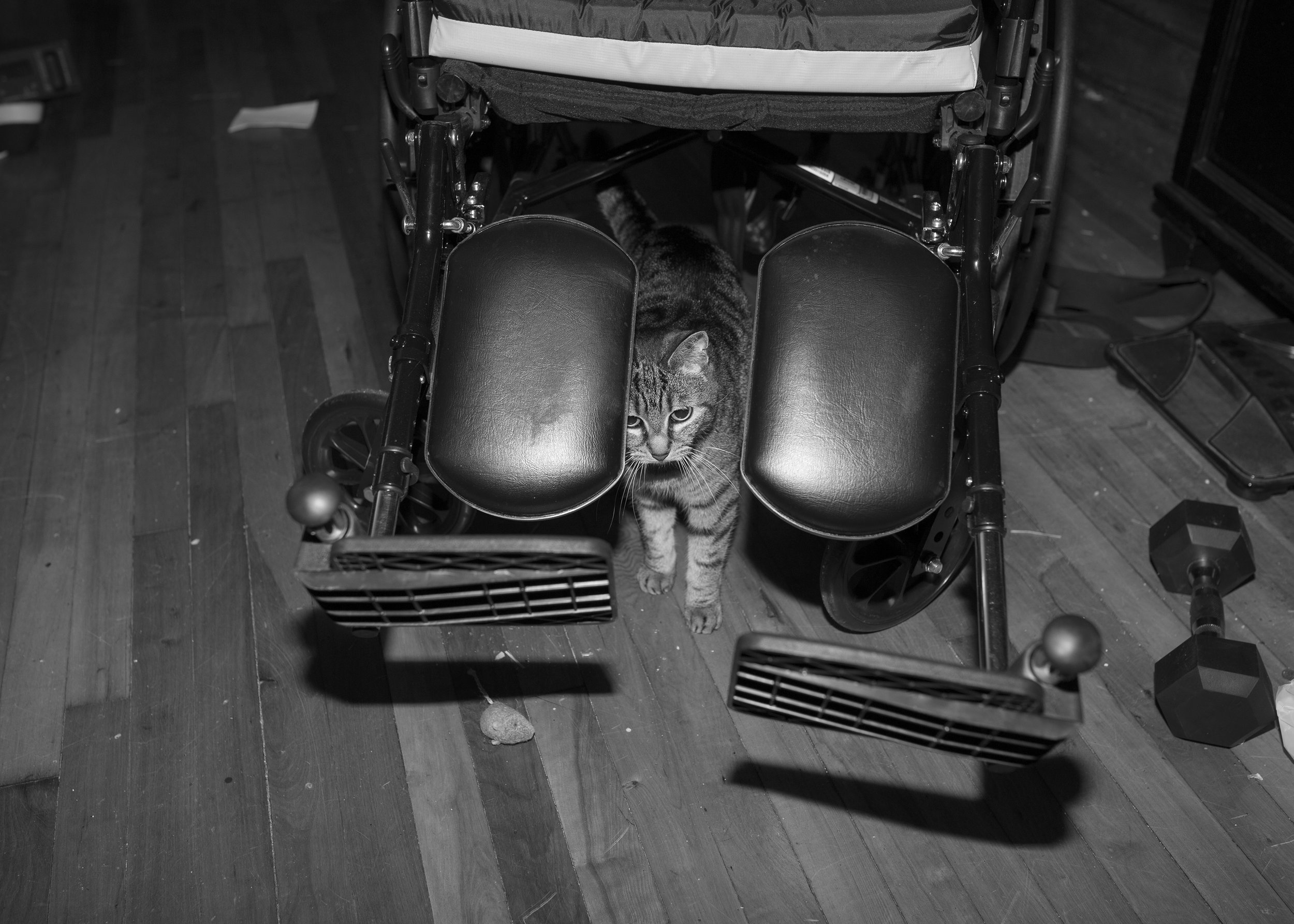 Portrait of Sabrina with my chair in the Queens house (1).jpg