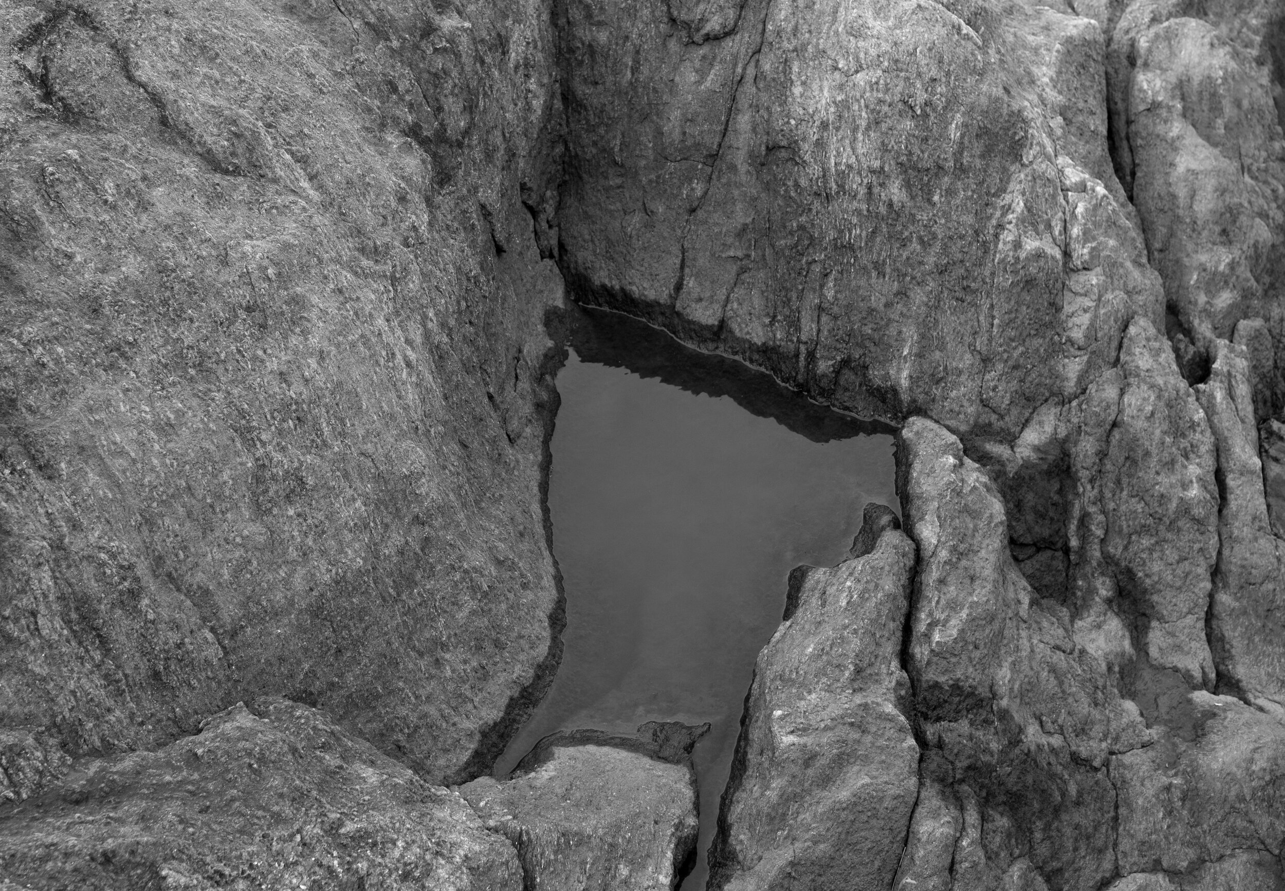 fort tryon pool.jpg