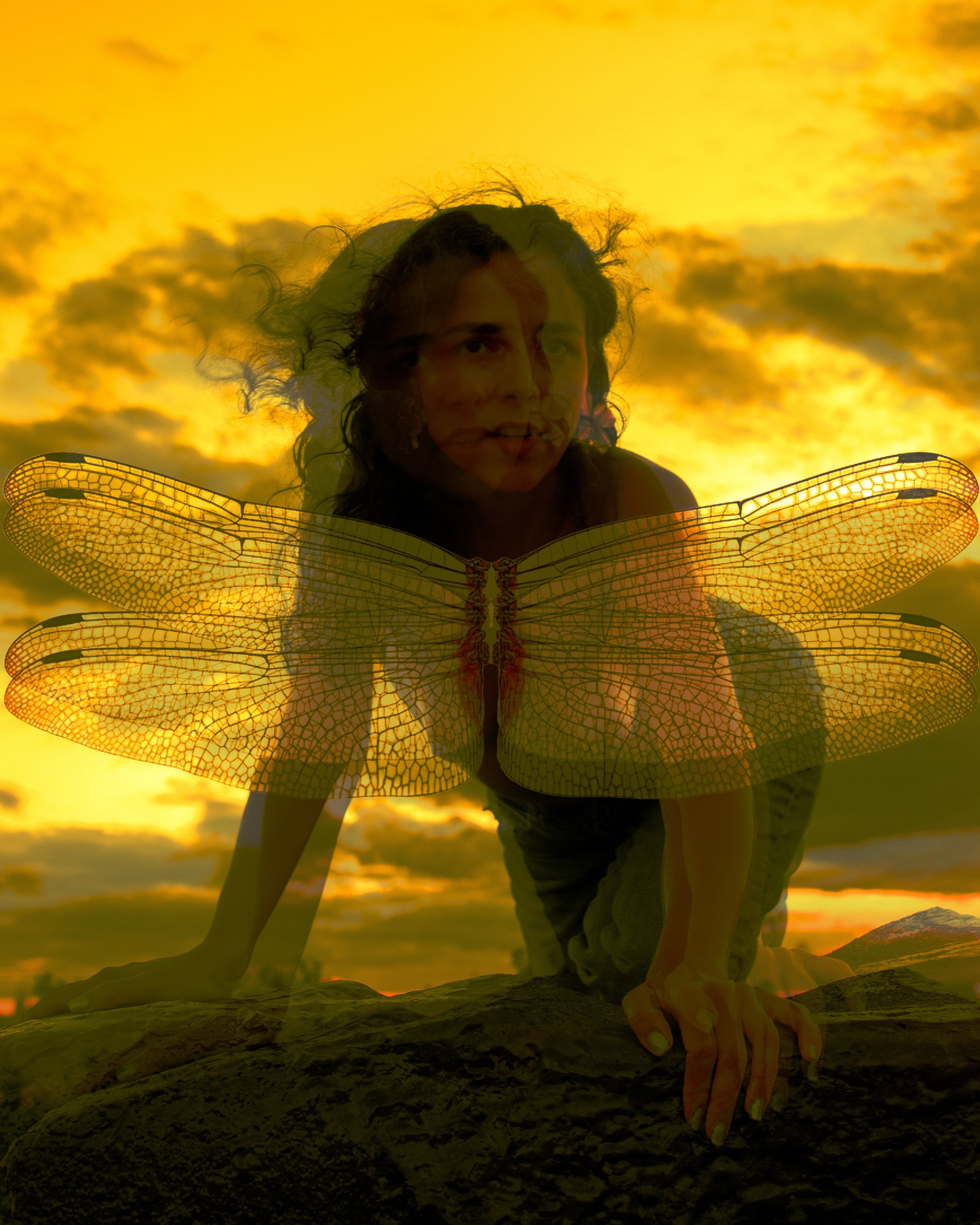 Ana Dragonfly-Joey-Solomon20024.jpg
