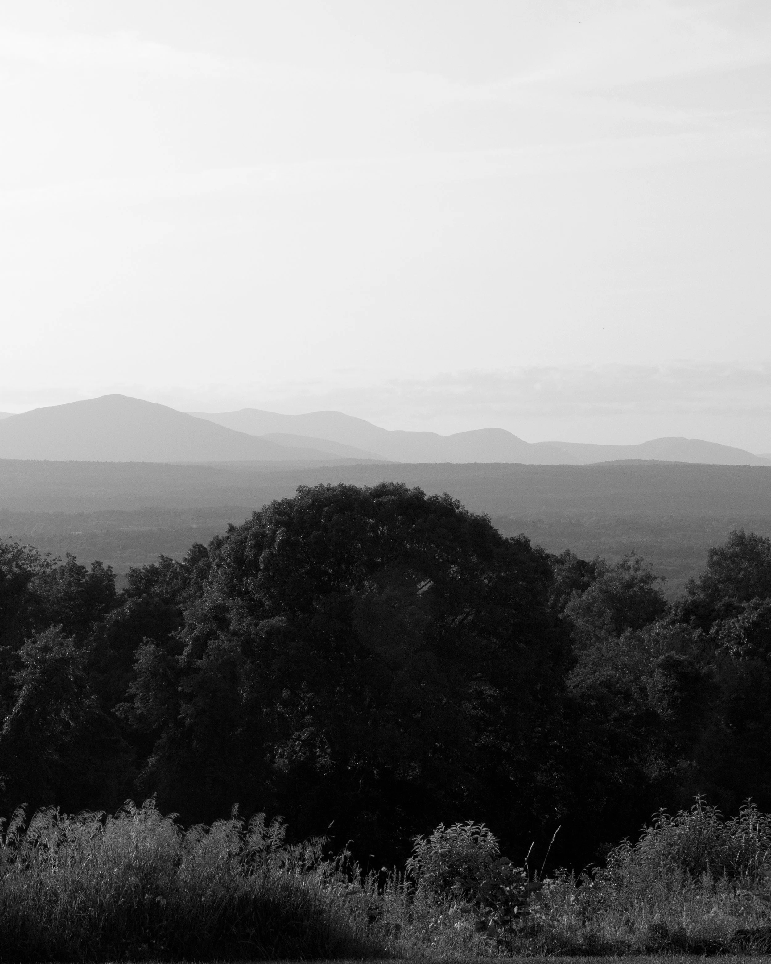catskills view.jpg