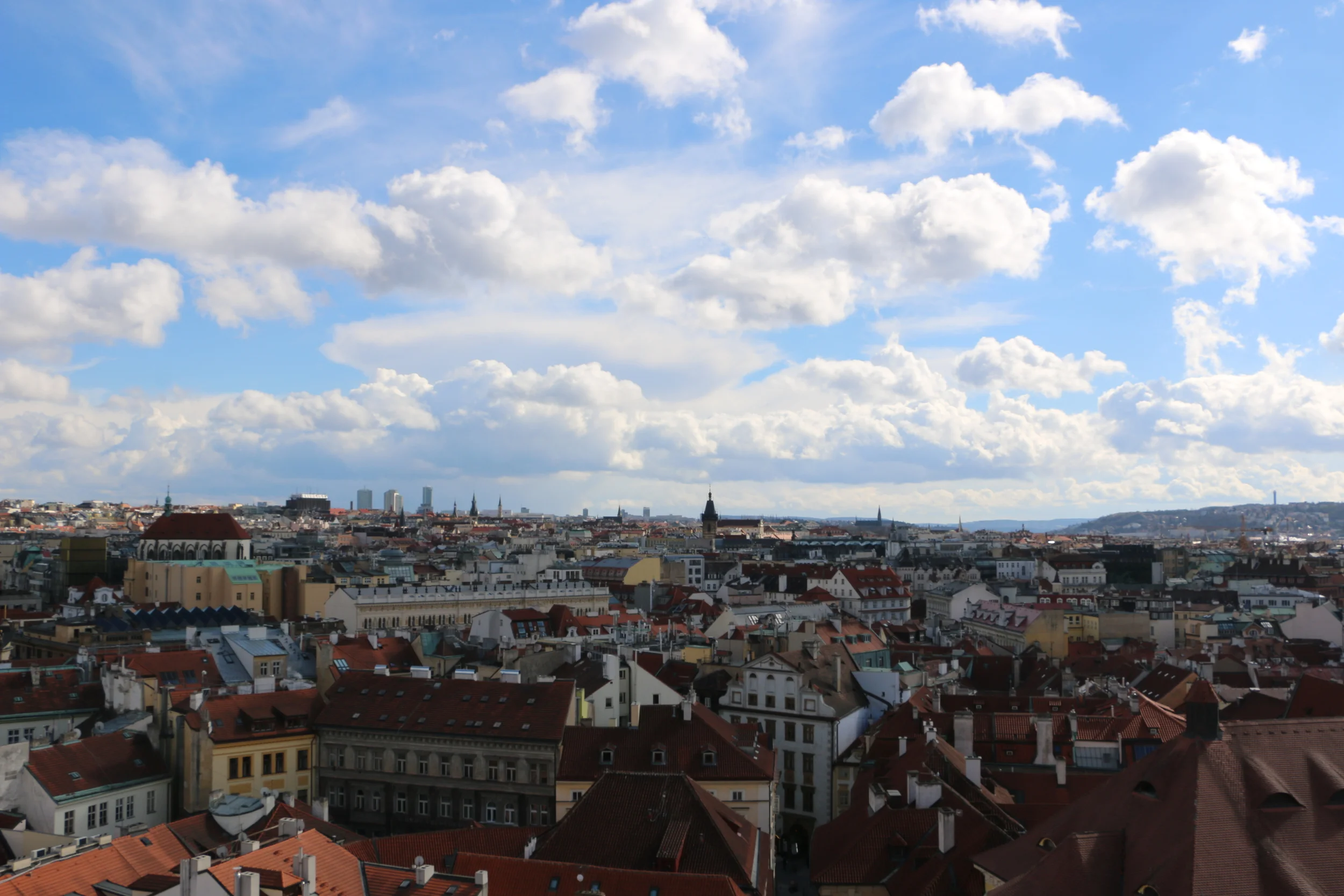 IMG_5178.JPG