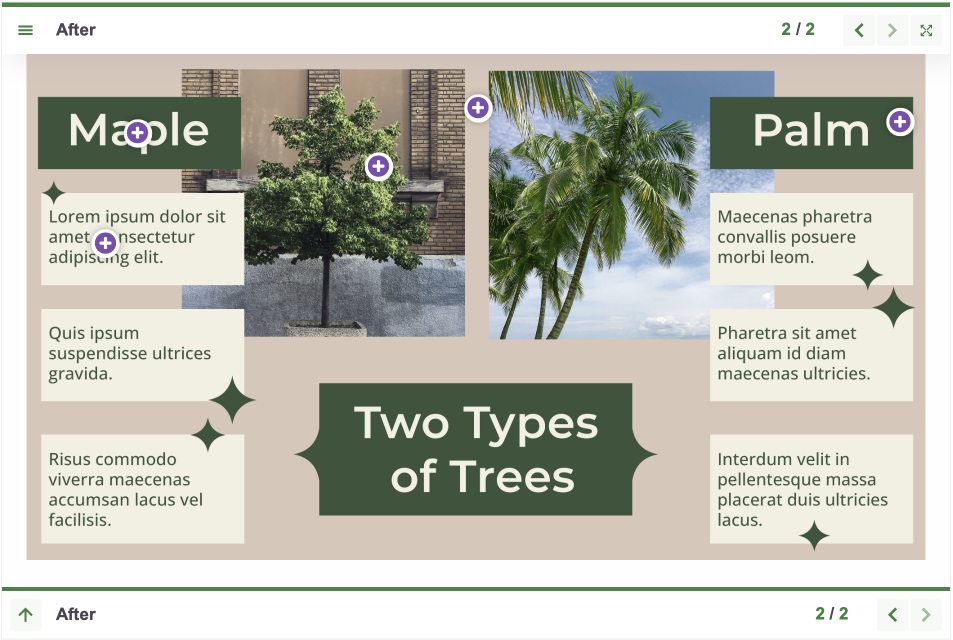 types of trees.png