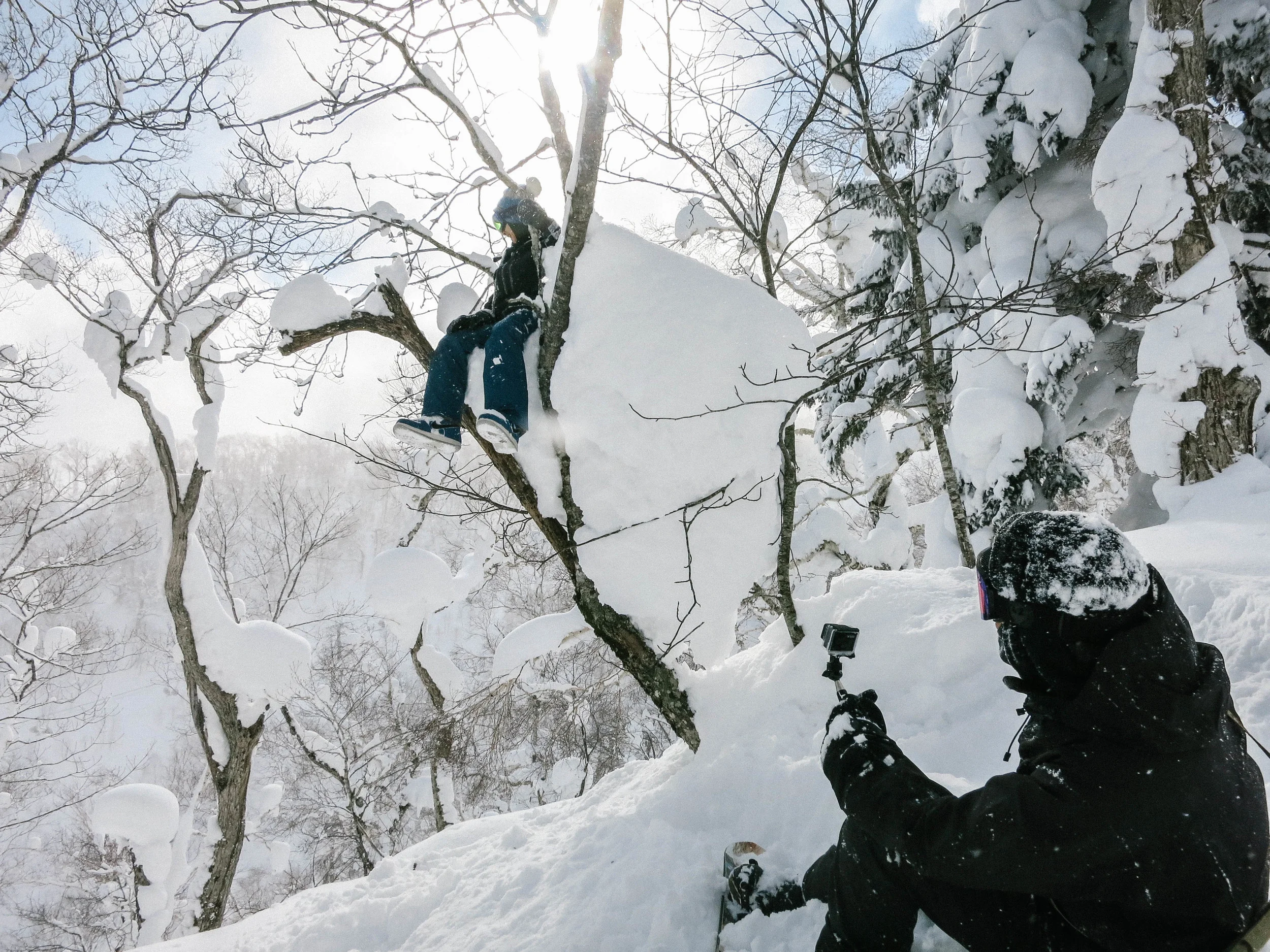 Only in Hokkaido