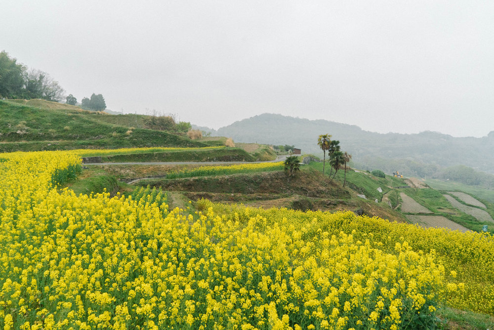  views from Teshima Art Museum 