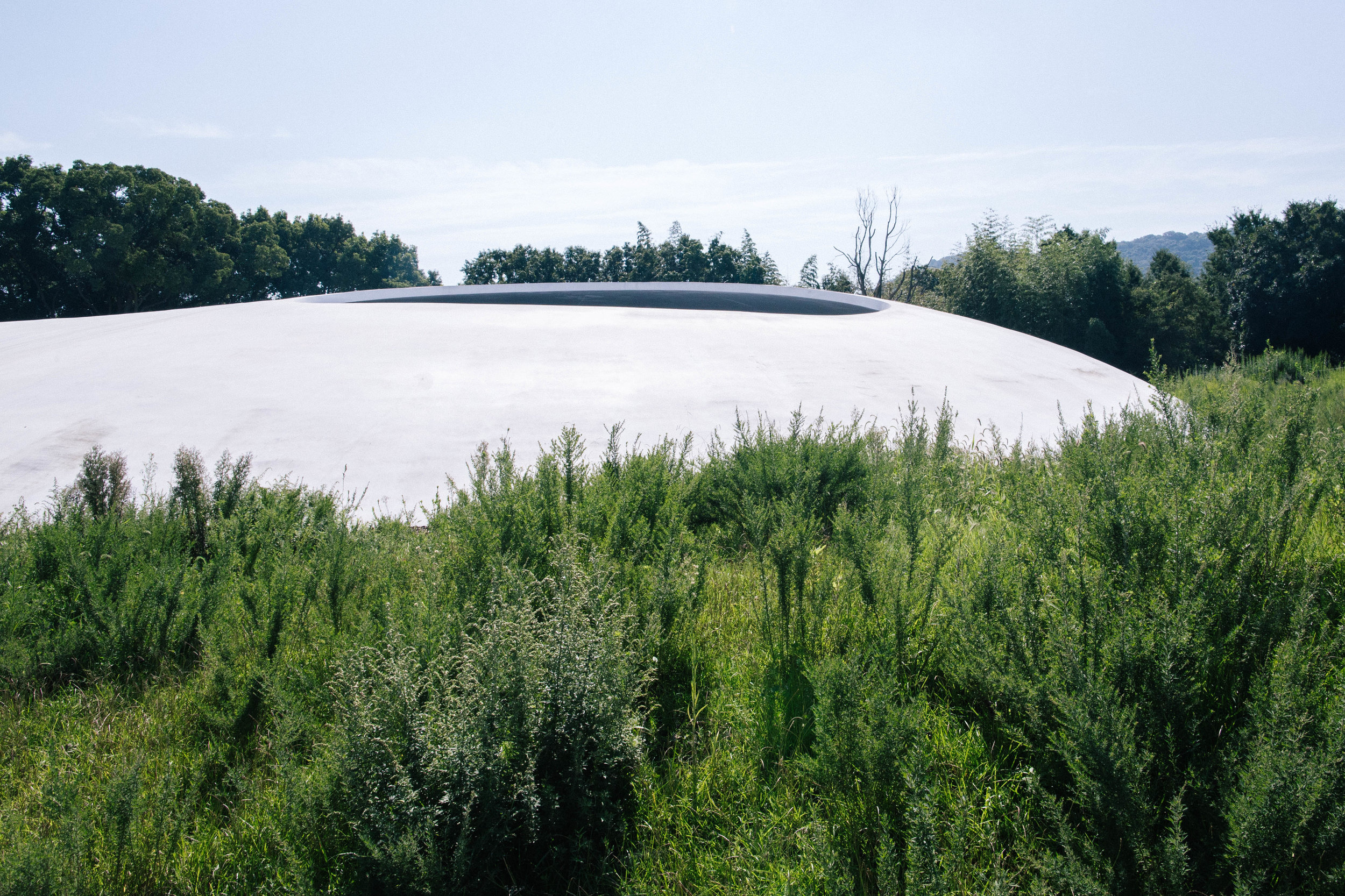 Teshima Art Museum
