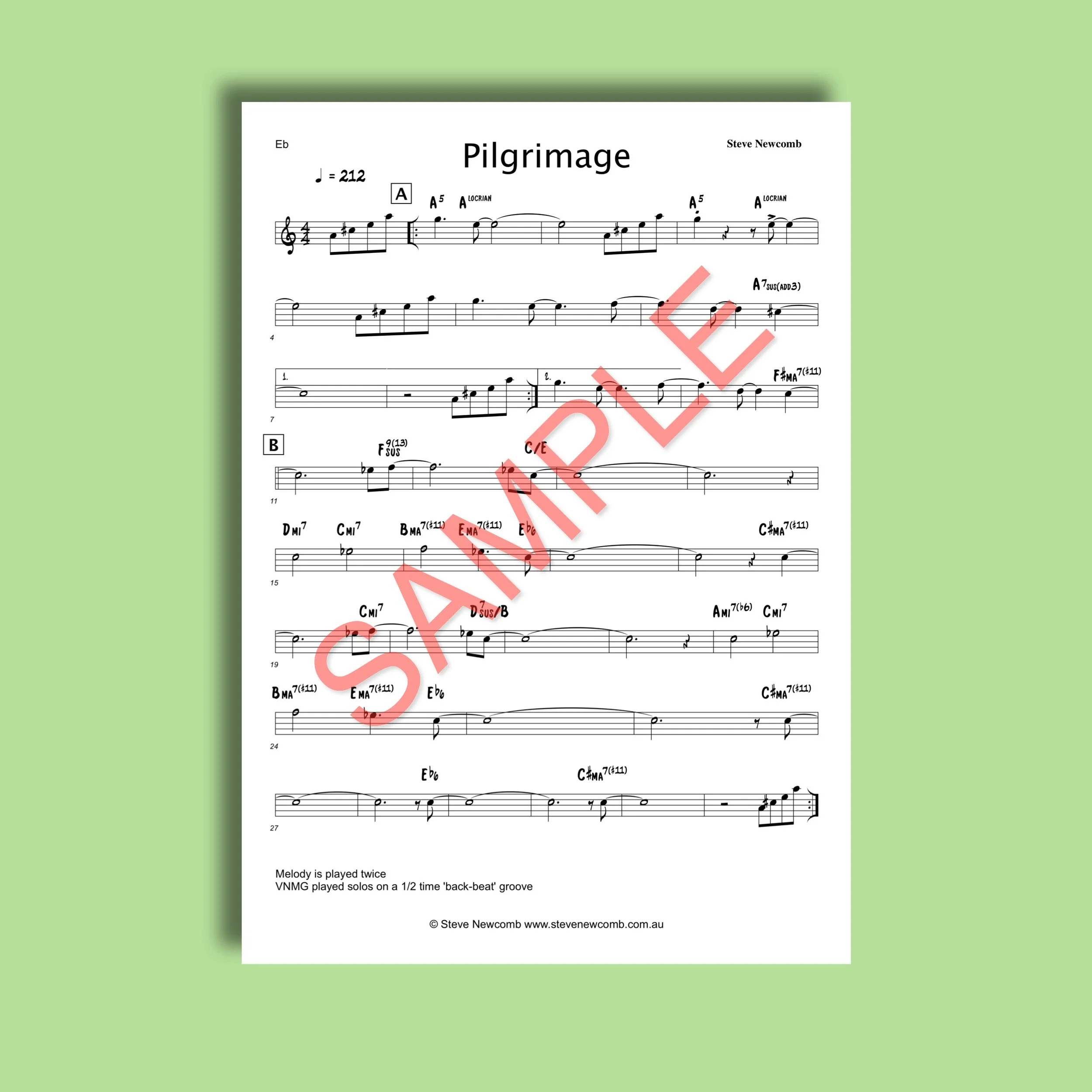 SHOP IMAGE_Pilgrimage_SAMPLE.jpeg