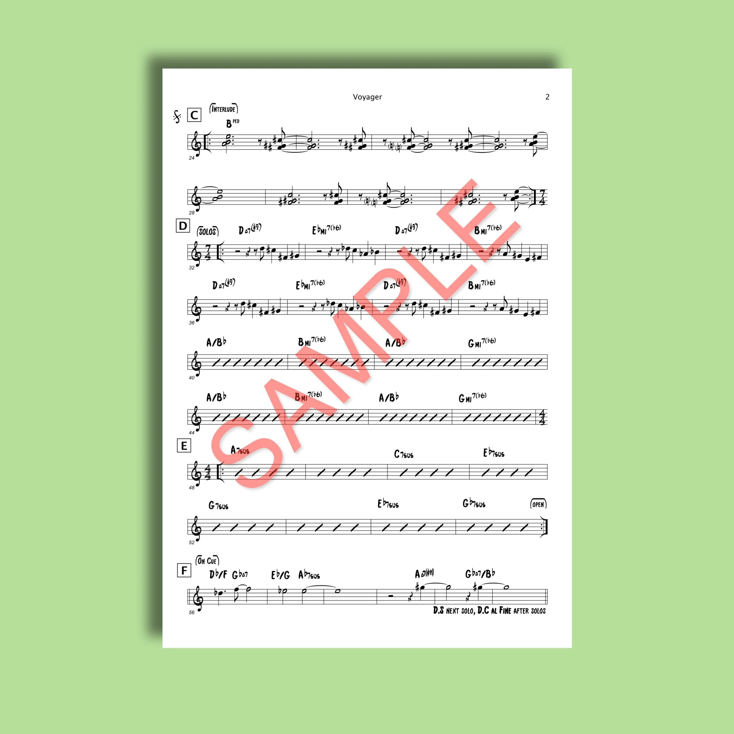 SHOP IMAGE_Voyager_SAMPLE.jpeg