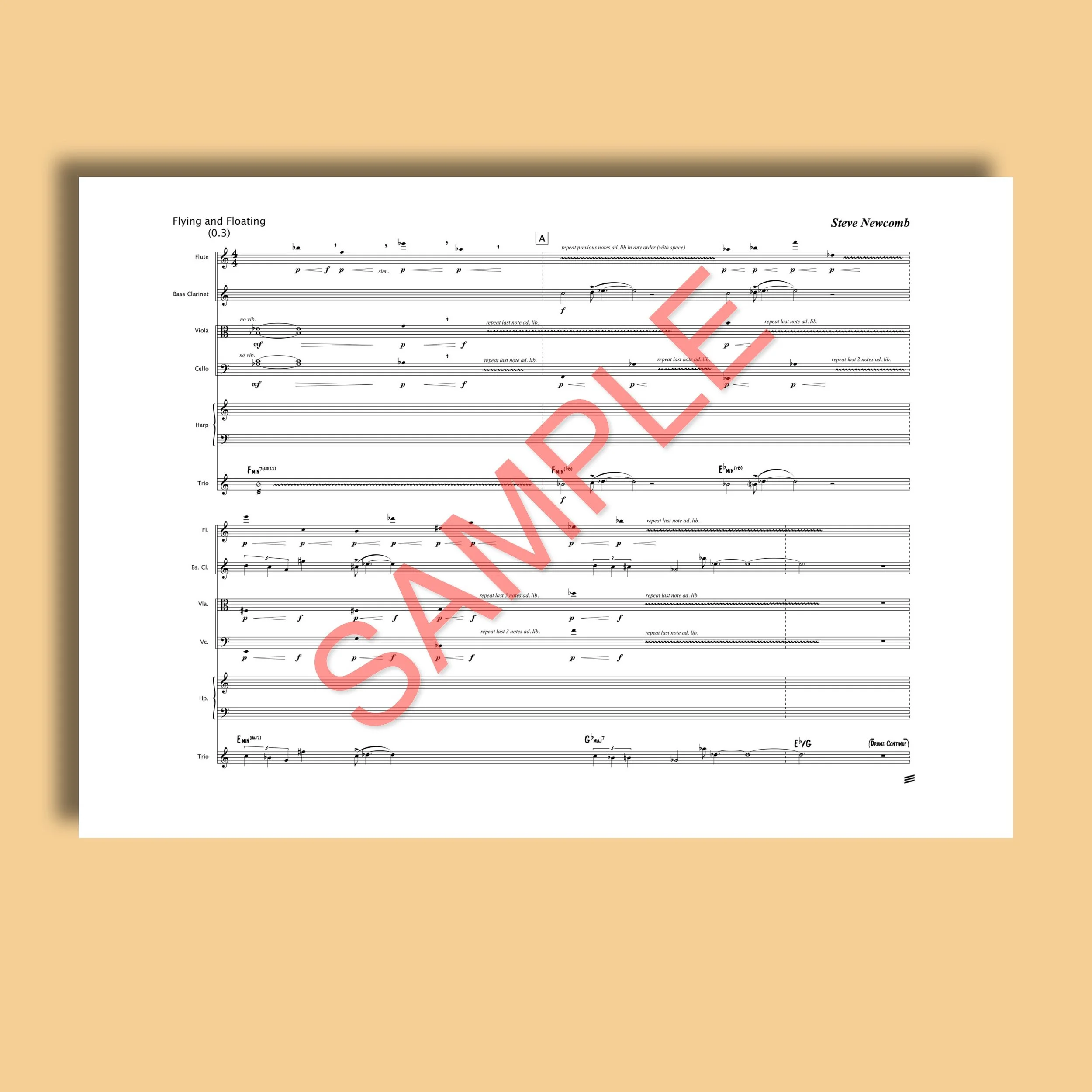 SHOP SAMPLE_Flying and Floating 2.jpeg