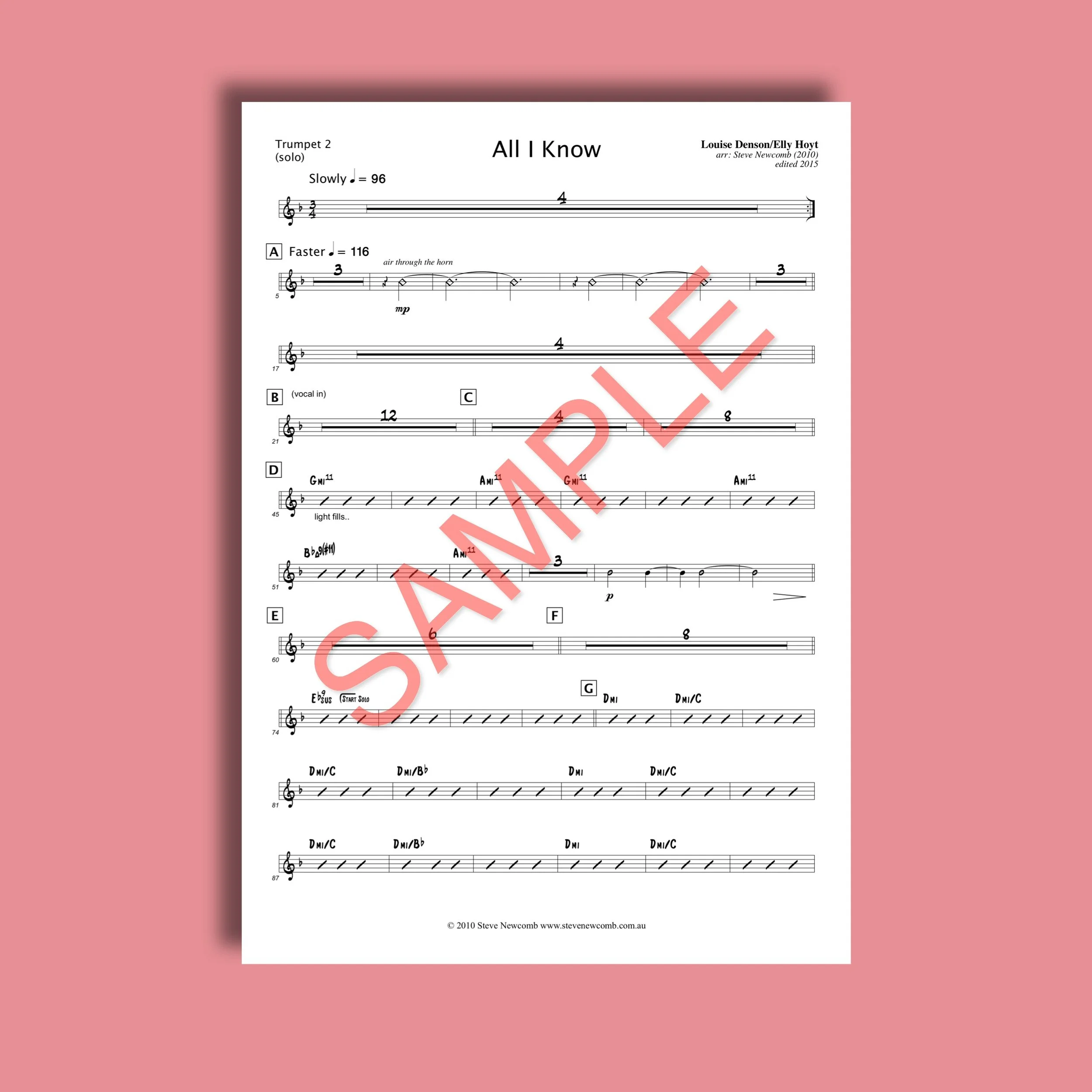 SHOP SAMPLE_All I Know4.jpeg