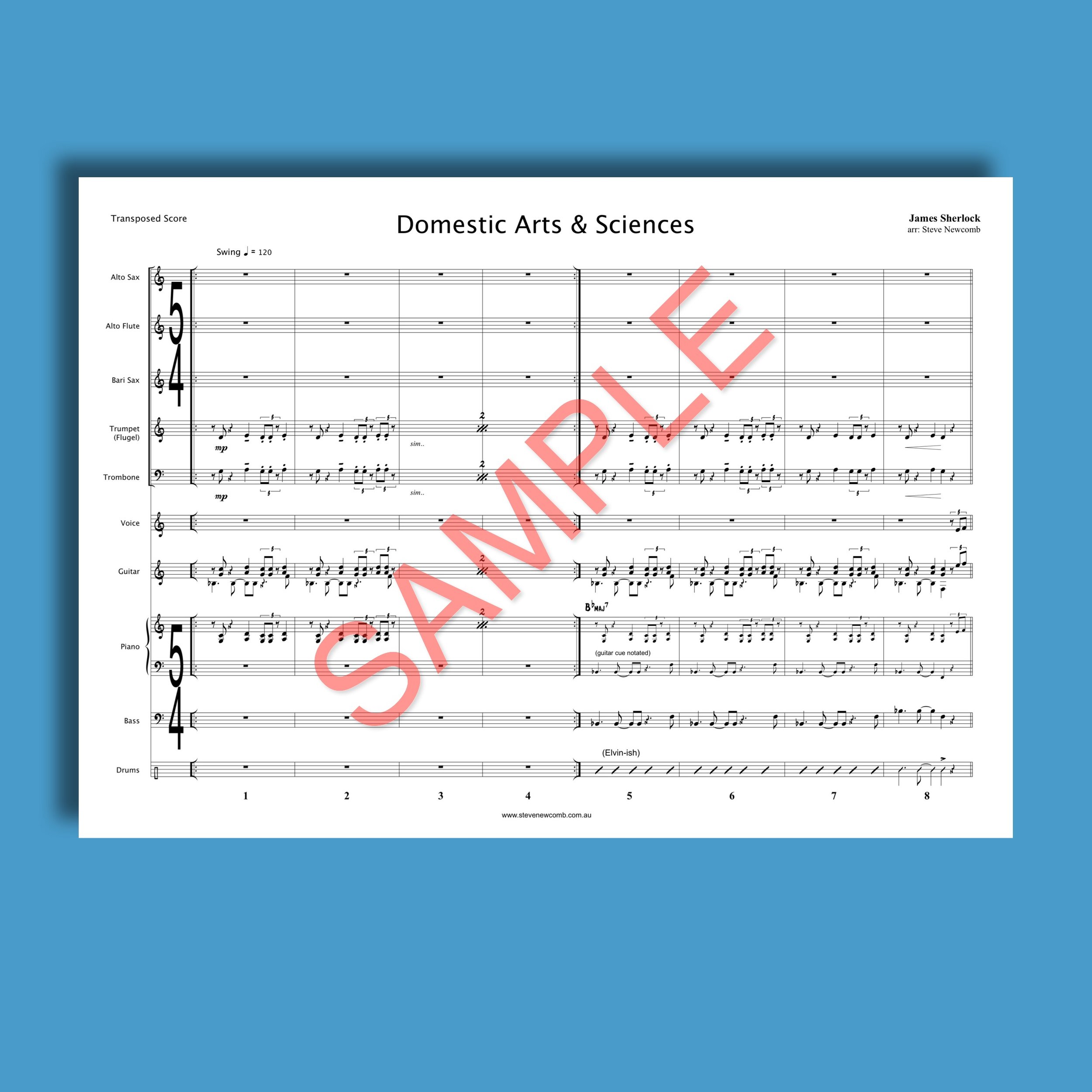 SHOP IMAGE_Domestic_ex1.jpeg