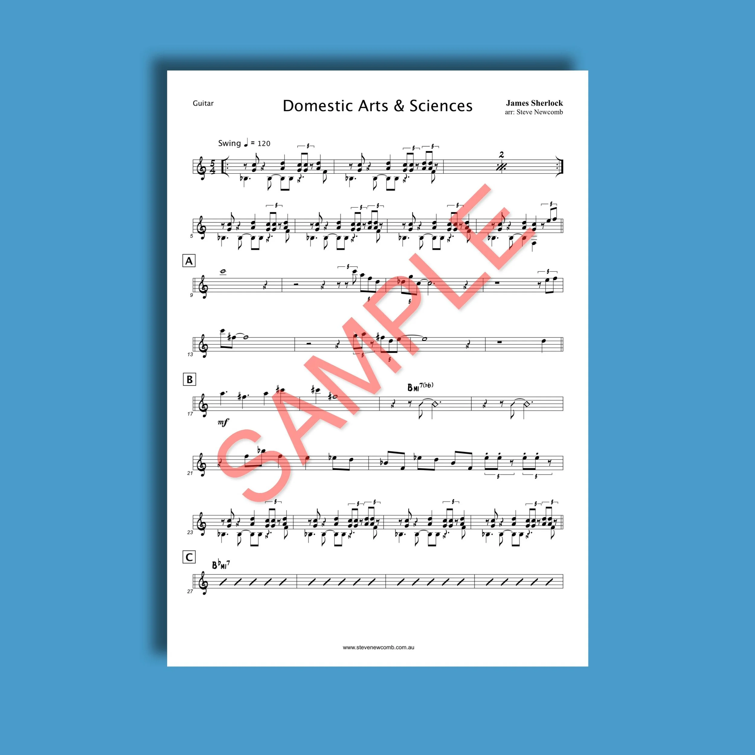 SHOP IMAGE_Domestic_ex3.jpeg