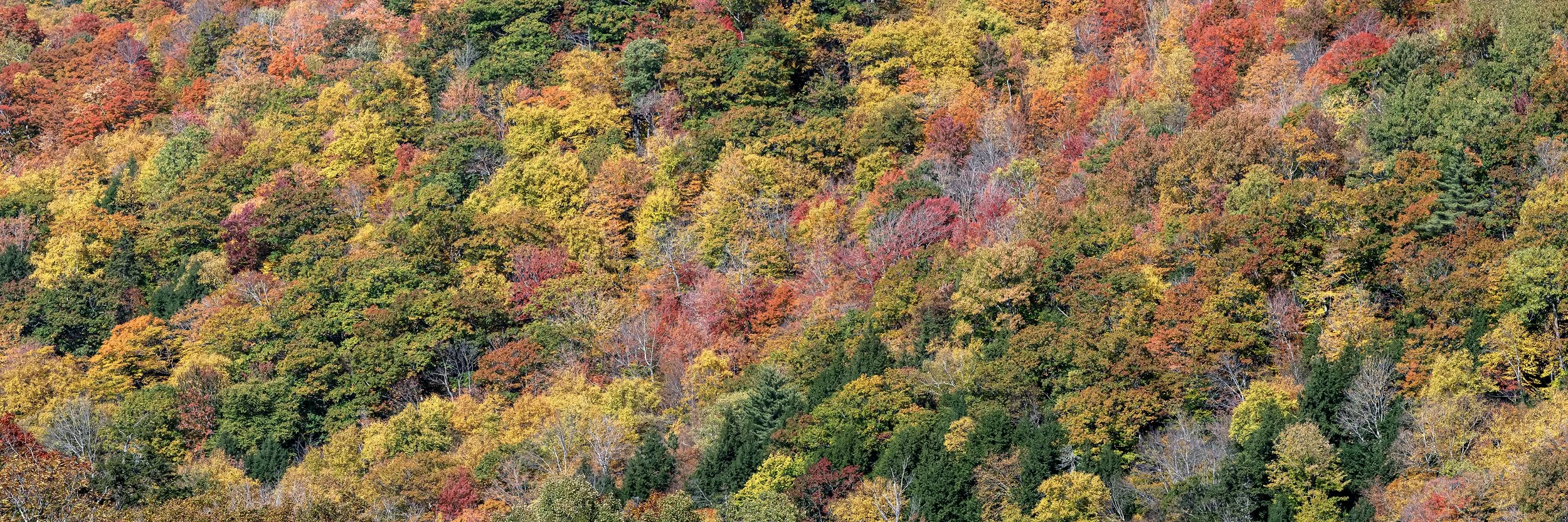 Untitled_Panorama-4 2.jpg