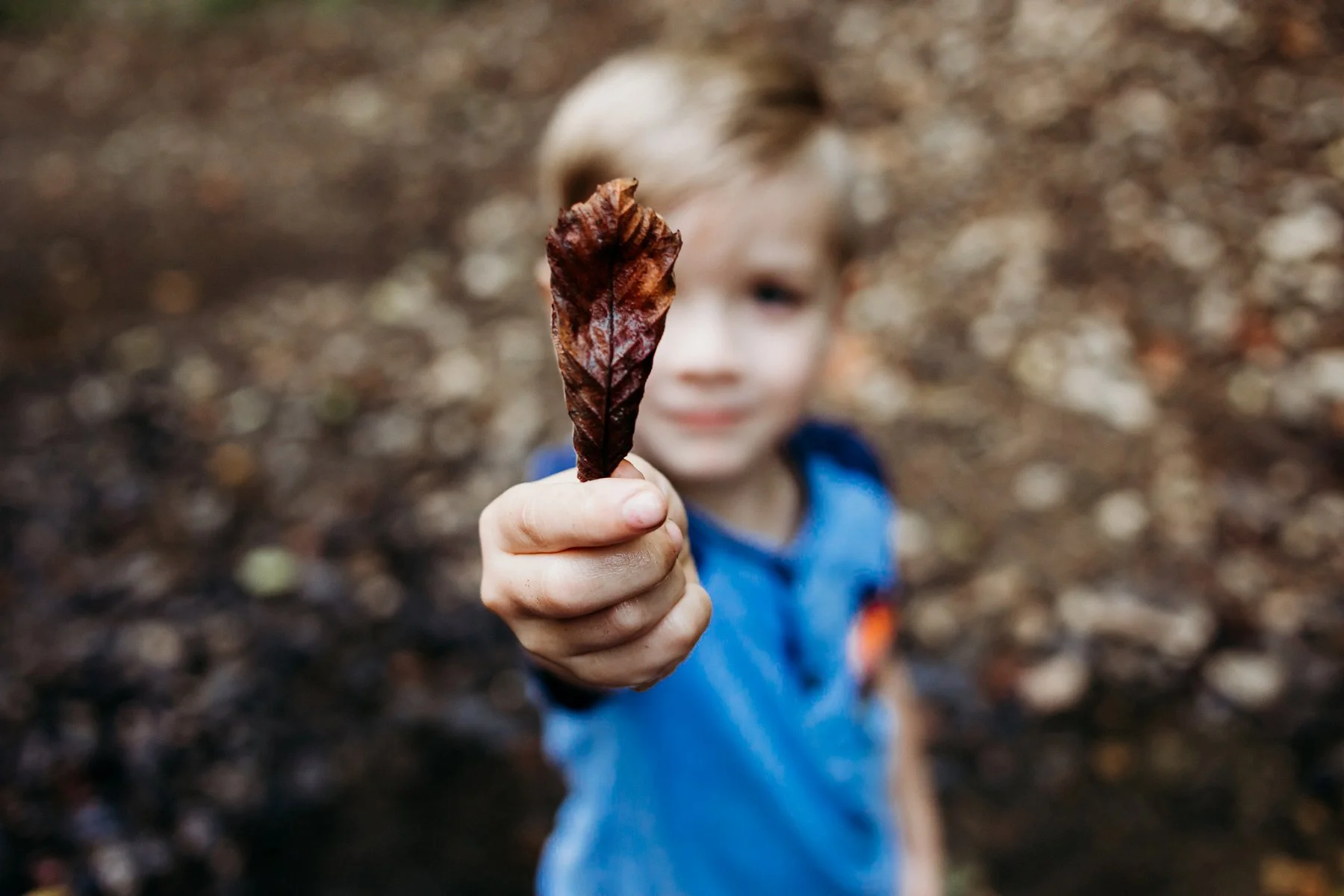 Creek Family Photography in Kansas City by Merry Ohler, best Family Photographer in Kansas City 3