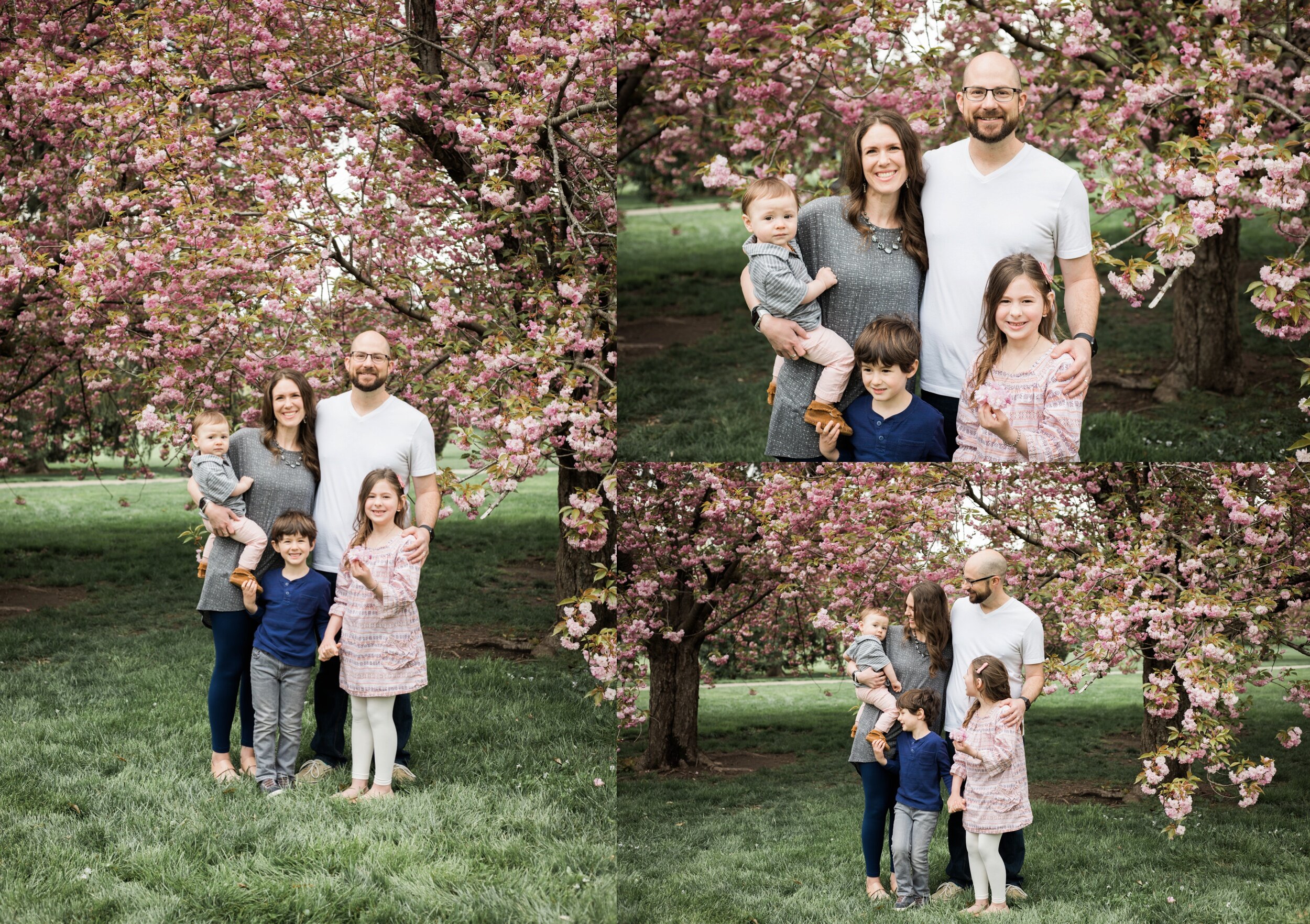 Spring Family Photos at Loose Park in Kansas City - 3