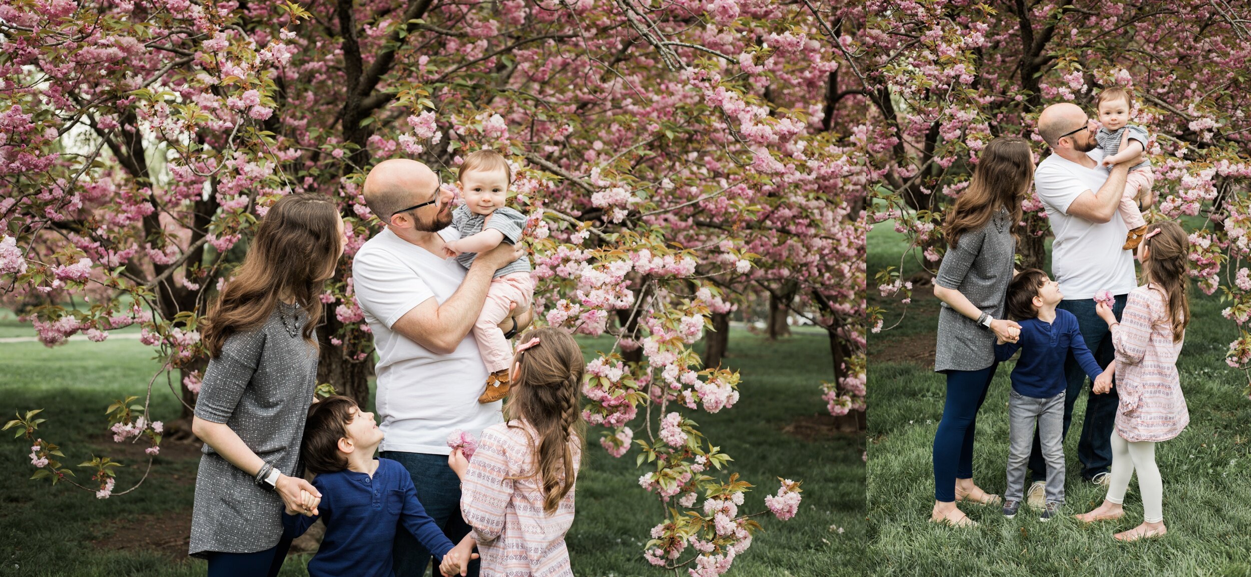 Spring Family Photos at Loose Park in Kansas City - 5
