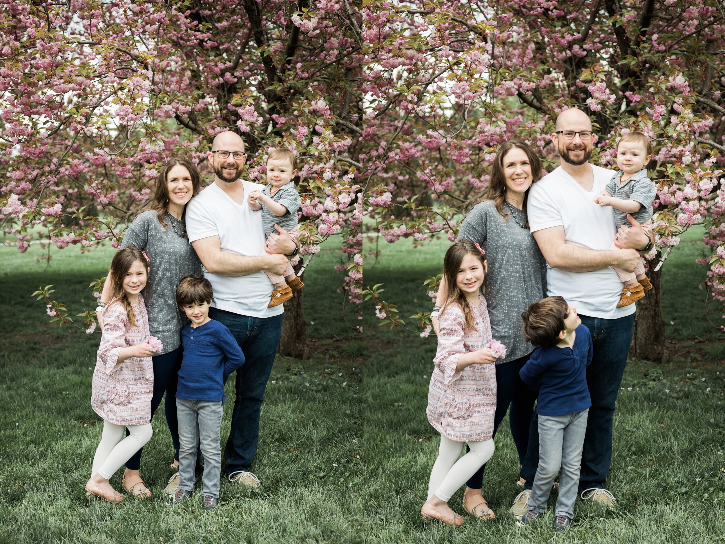 Spring Family Photos at Loose Park in Kansas City - 7