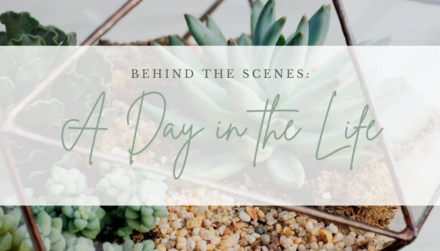 Behind the Scenes: A Day in the Life