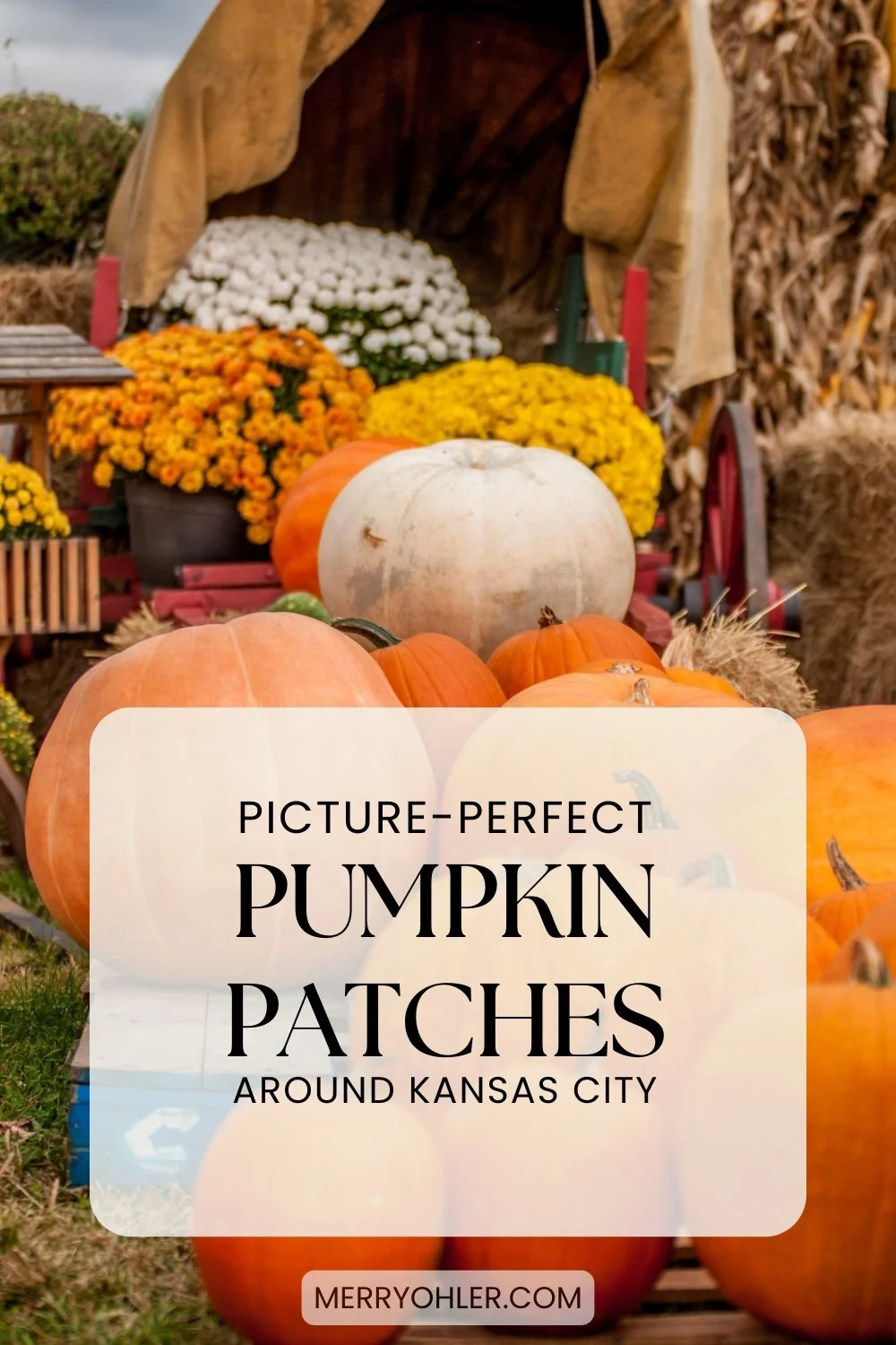 kansascitypumpkinpatches2.jpg