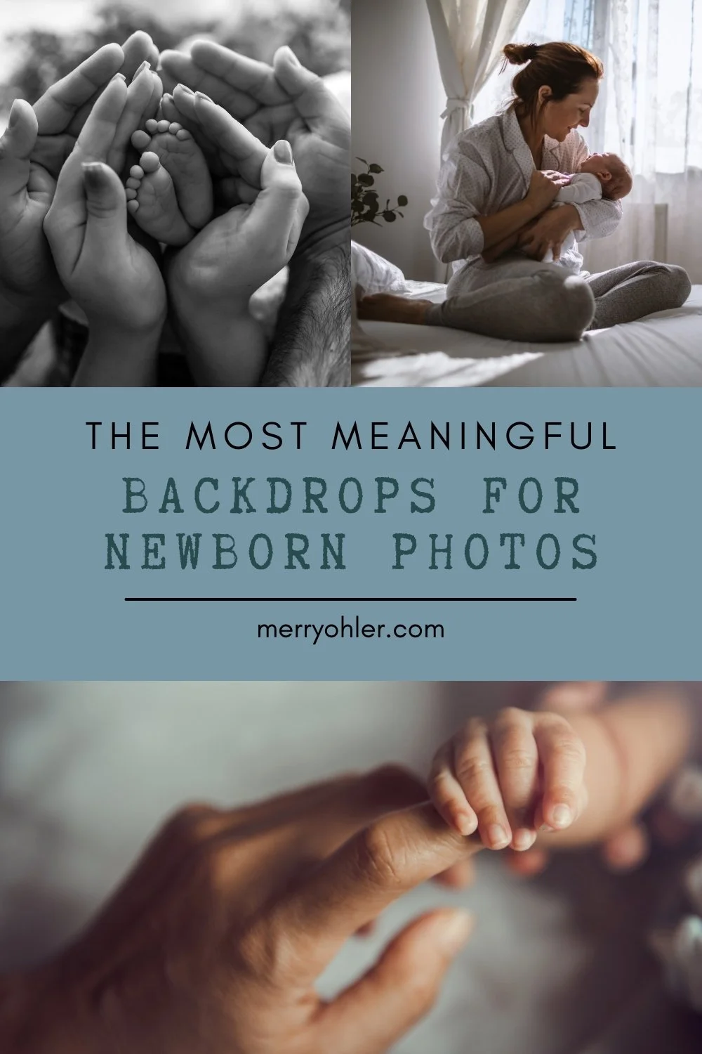 newbornbackdrops1.jpg