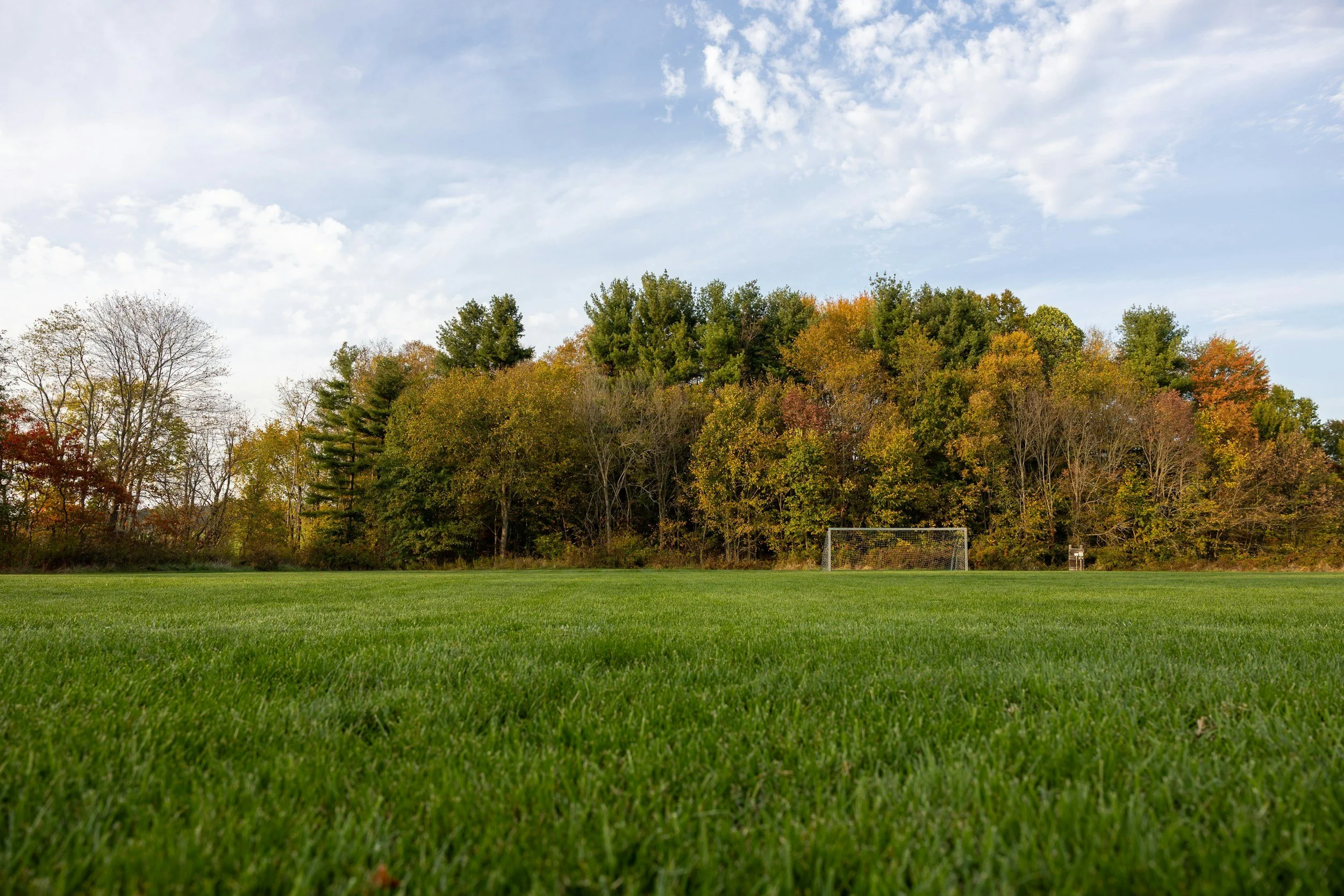 Hodge Park Fall Mini Sessions: The Easiest Photo Night for Little Kids