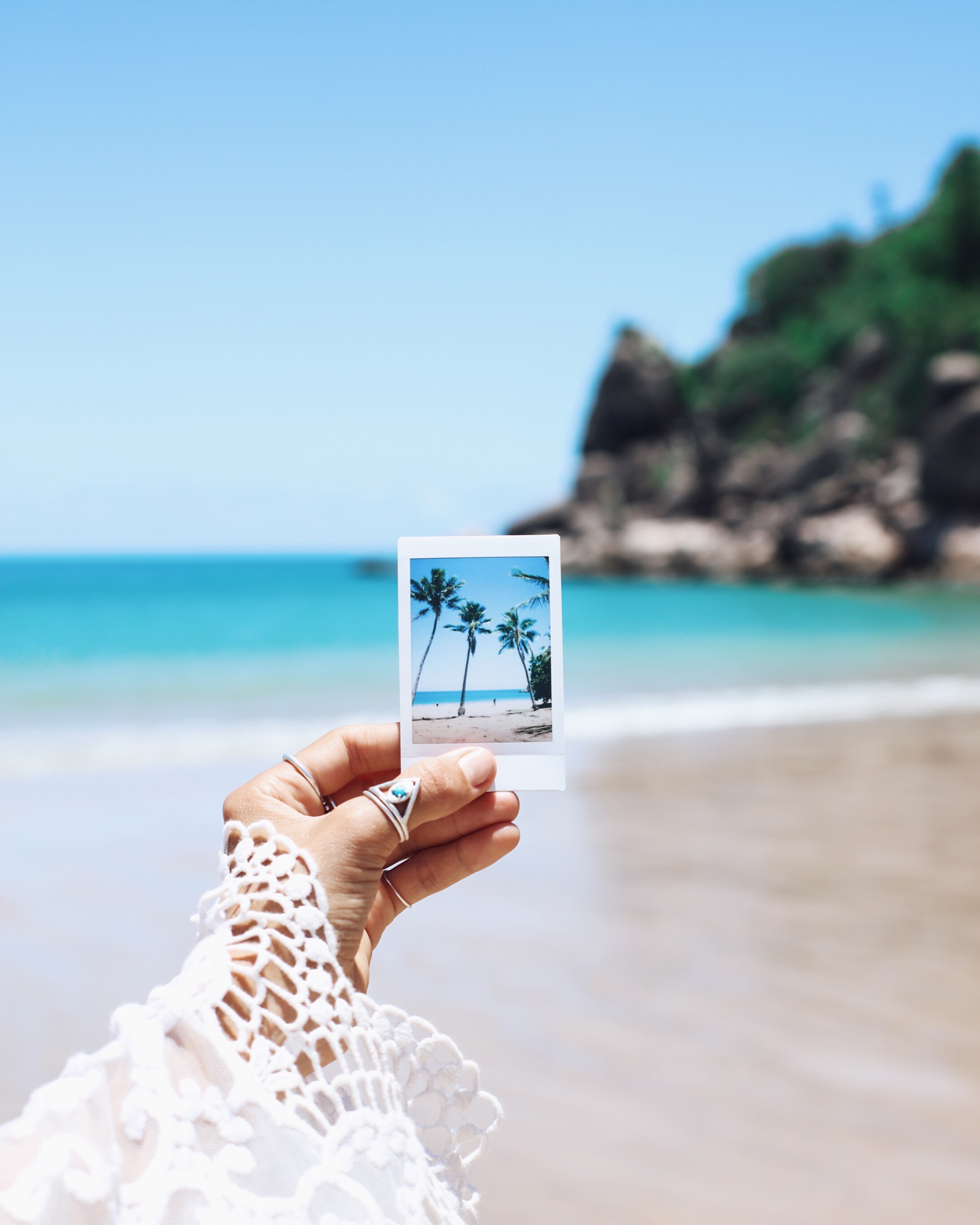 Polaroid's of the Palms: Radical Bay 