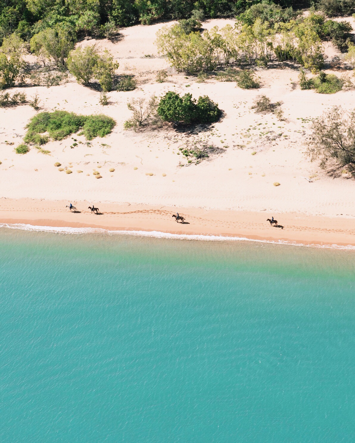 Horse riders on the beach