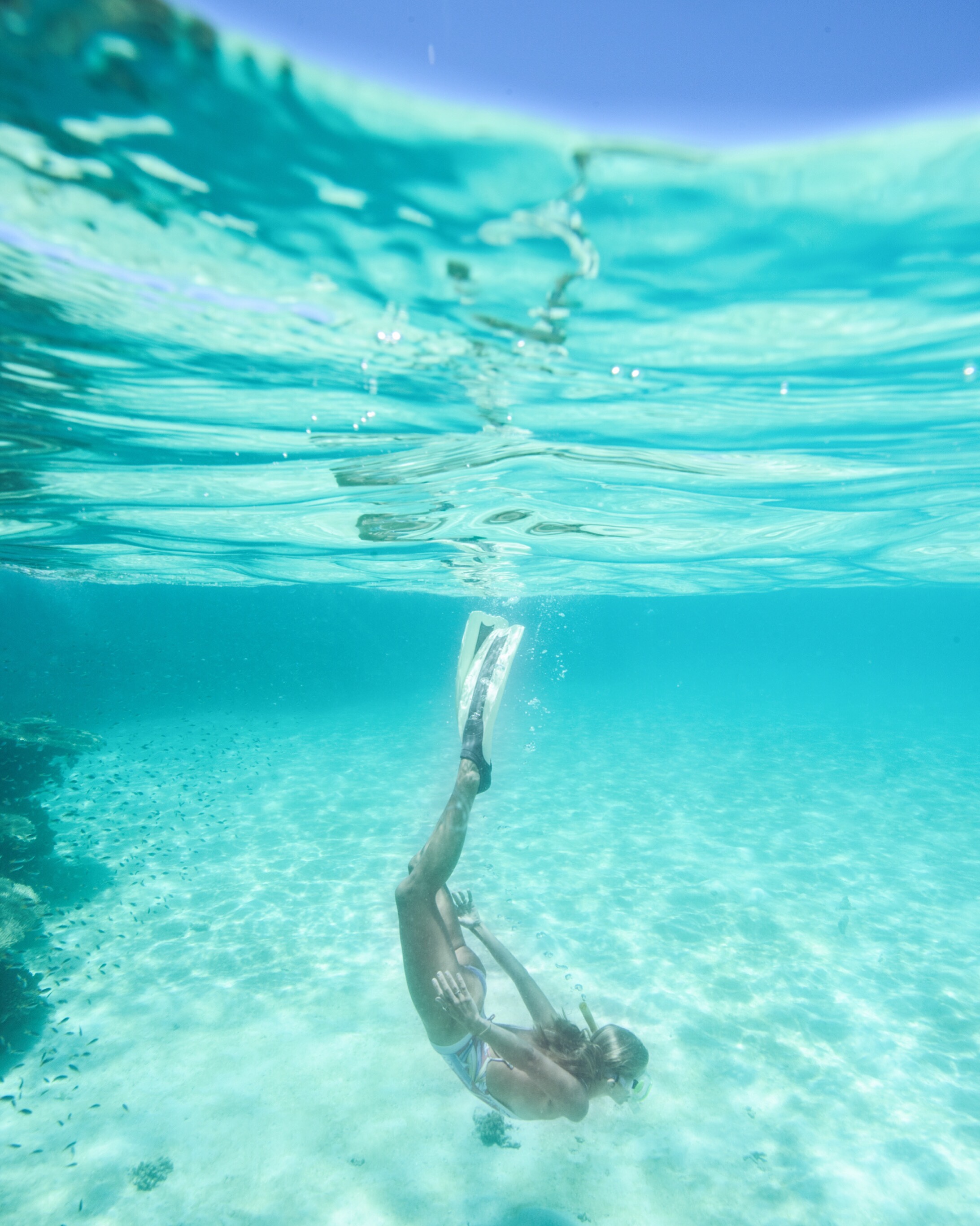 Snorkelling on Lodestone Reef