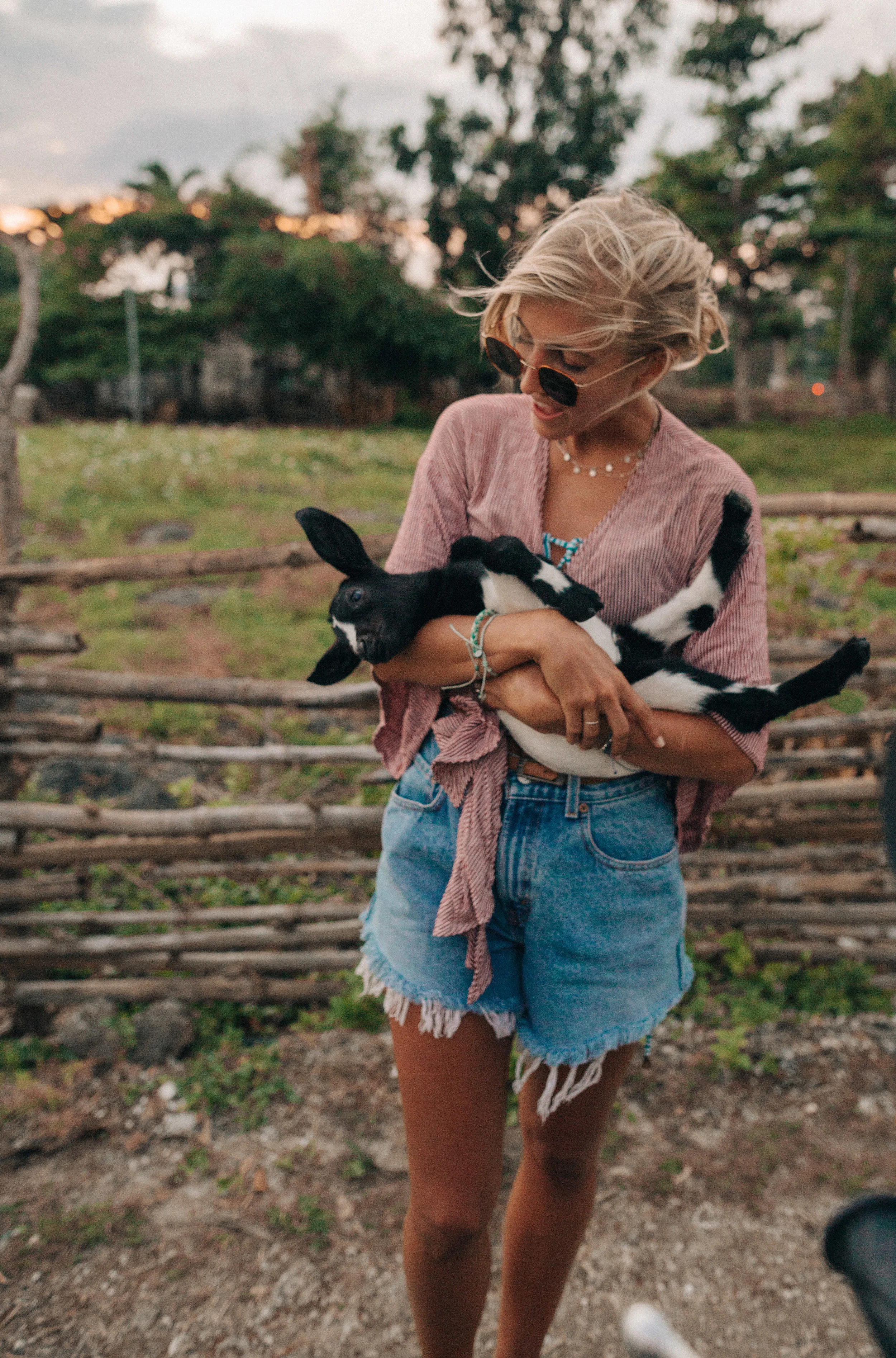 Cuddles to the baby village goats