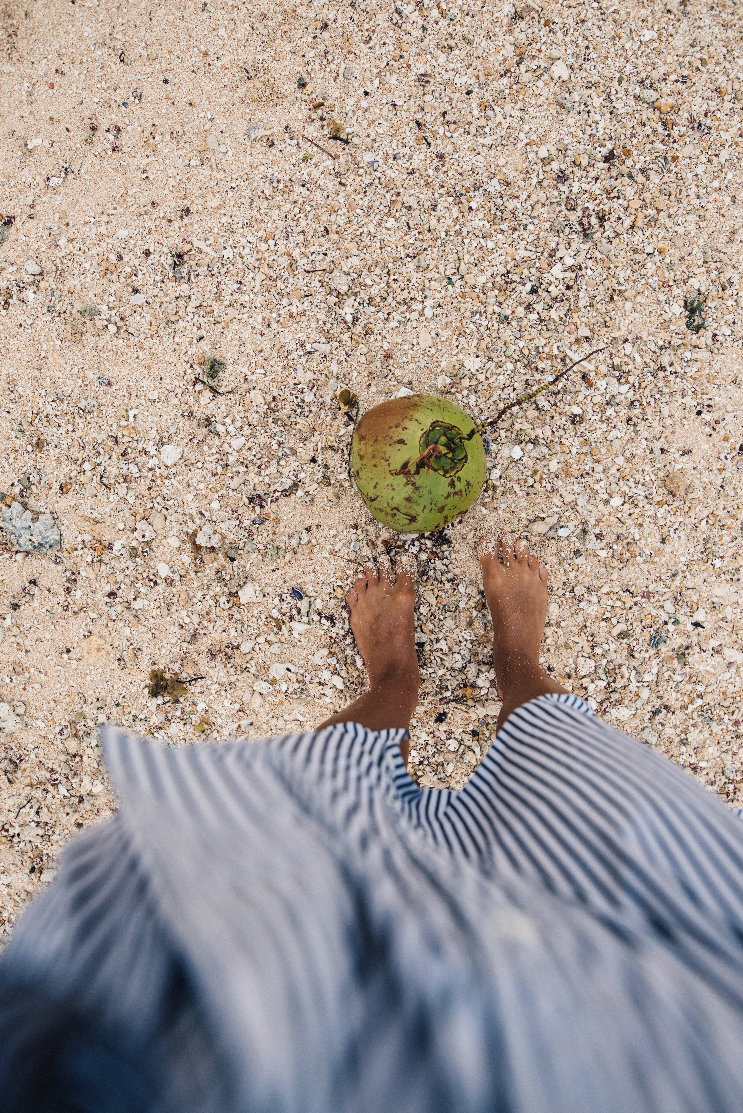 Coconuts on the beaches of Siargao