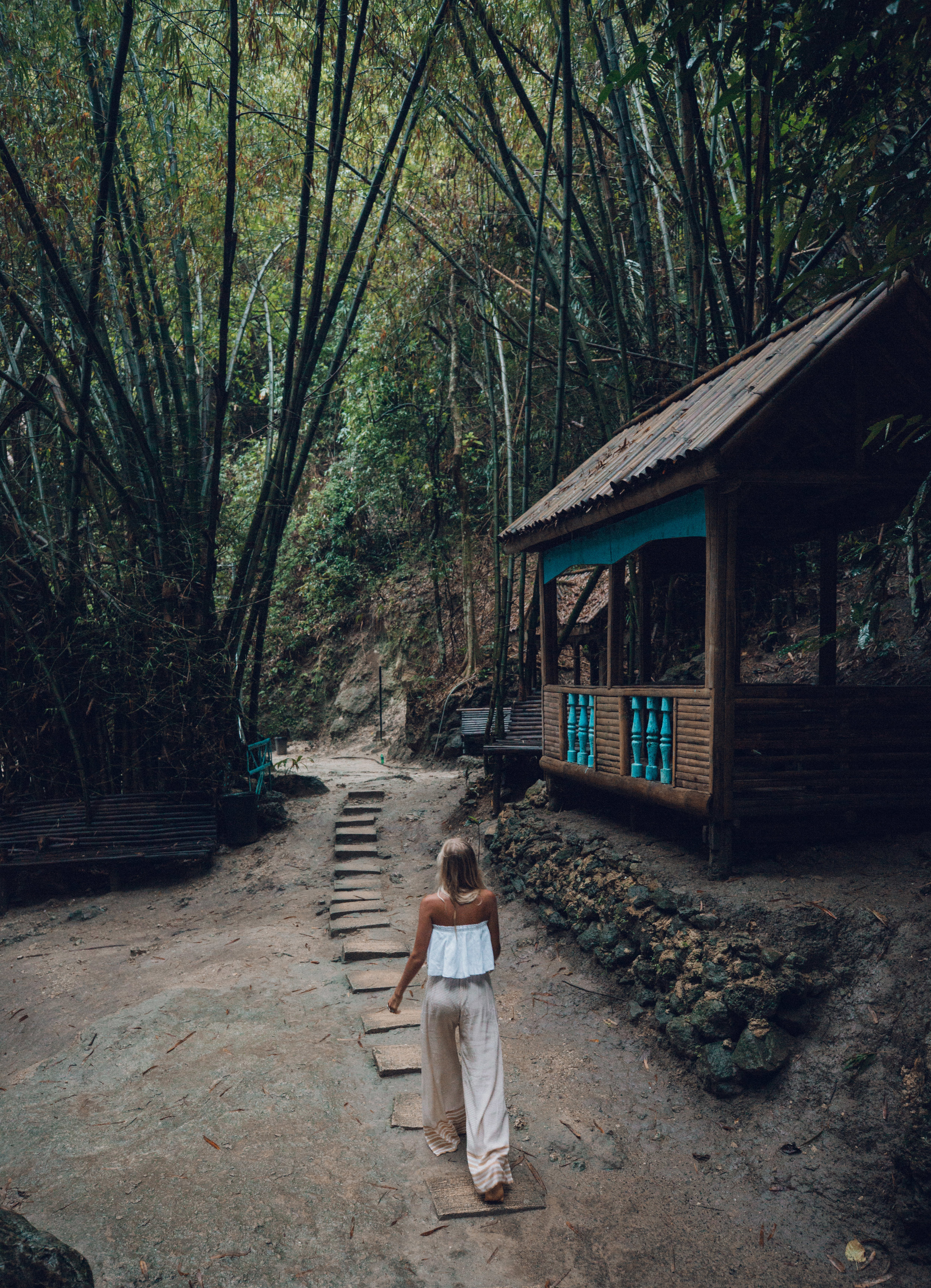 Enchanting bamboo forest around Tumalog falls 