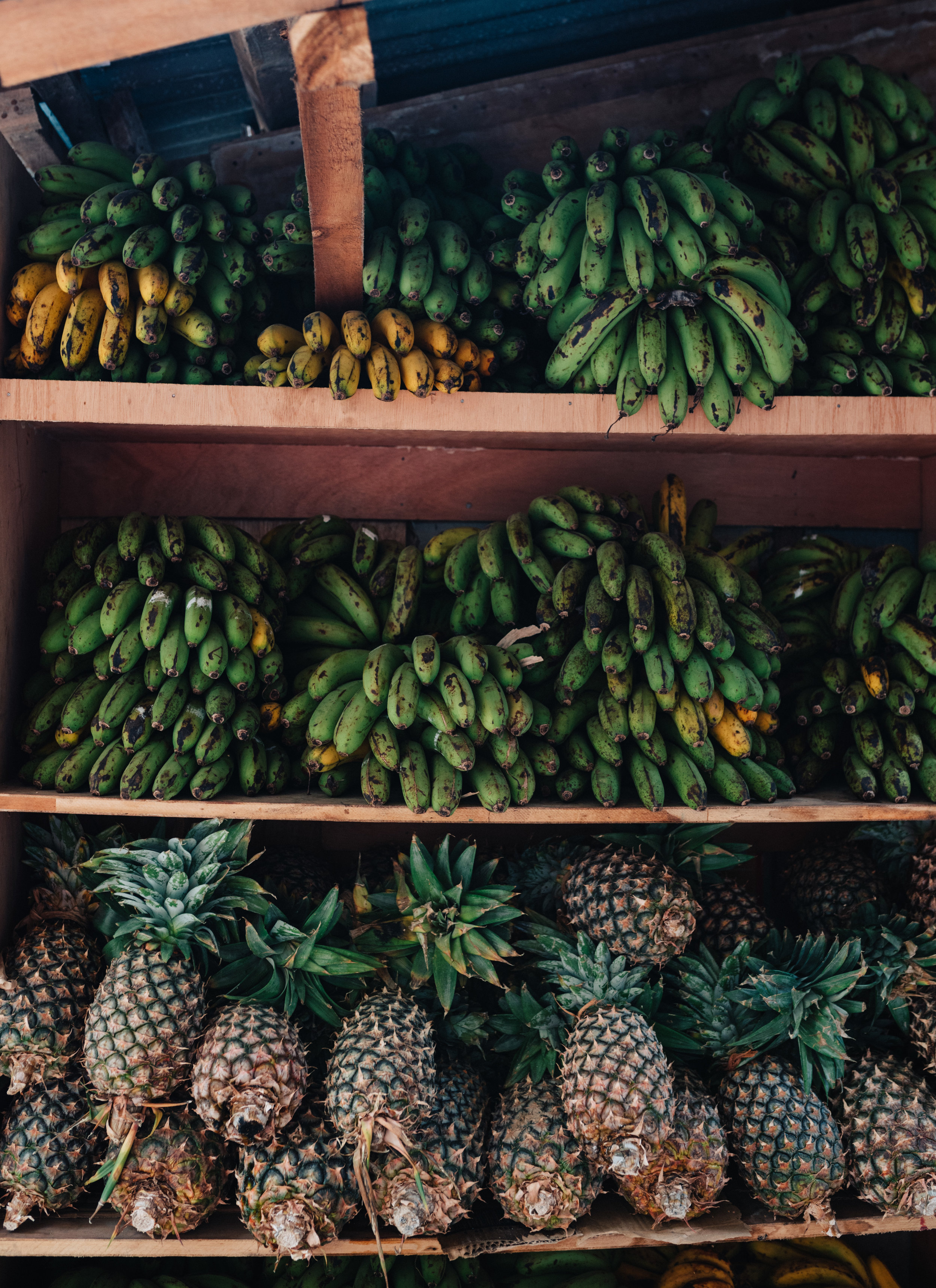 Fruit shops in the town