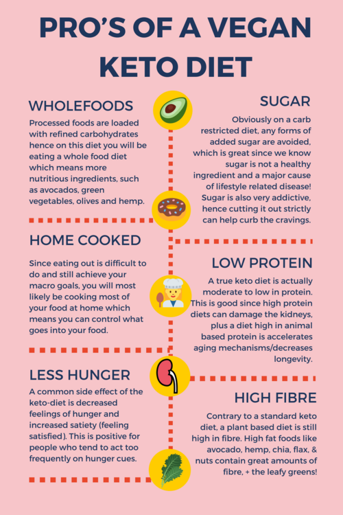 My Vegan Keto Experiment Part 1 Elsas Wholesome Life