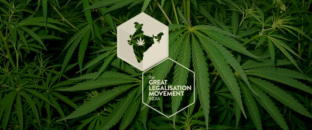 glm-onleaf.jpg