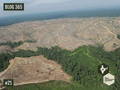 India, Let's Save Our Forests
